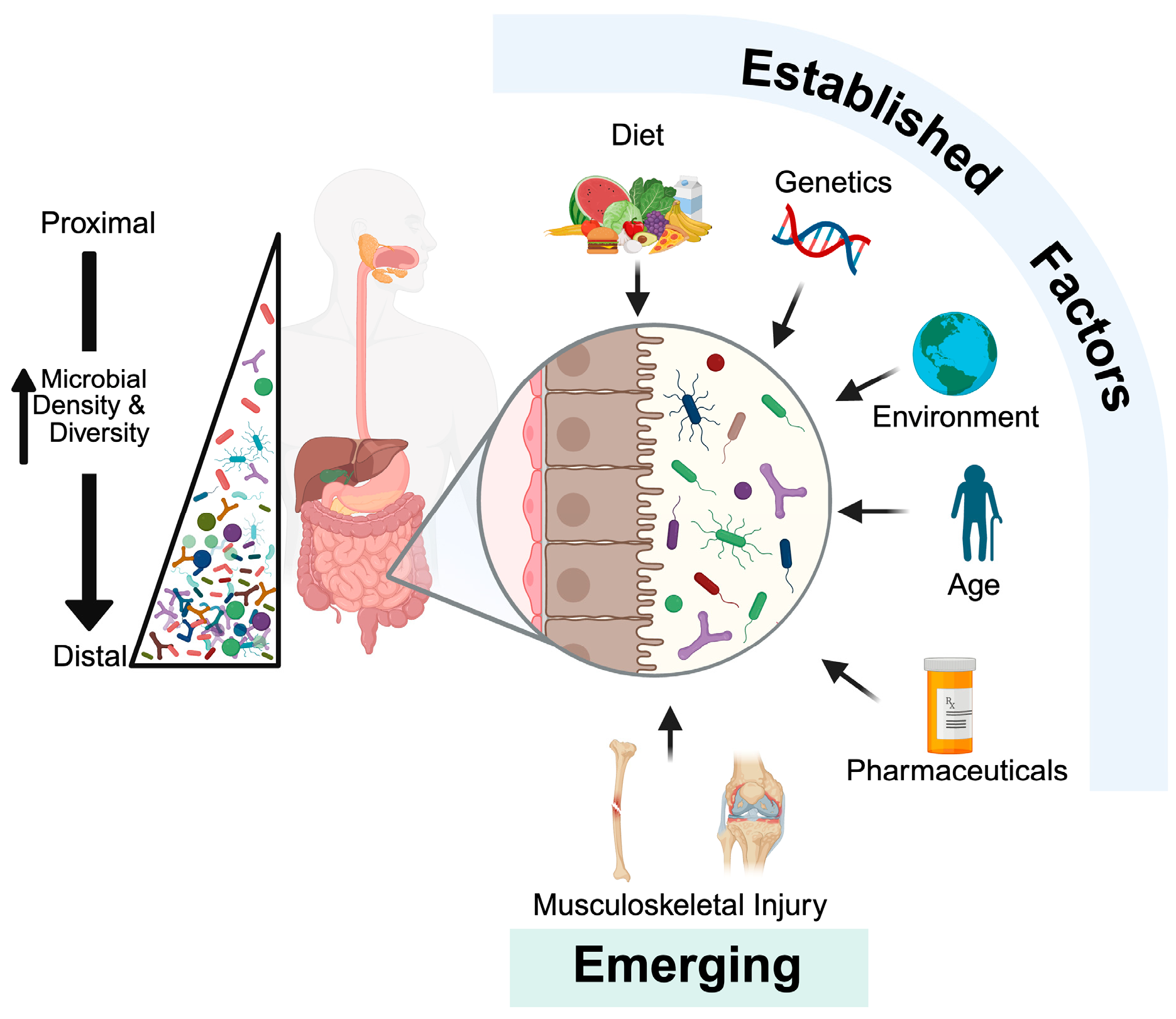Microorganisms 13 02193 g001 Microorganisms 13 02193 g001