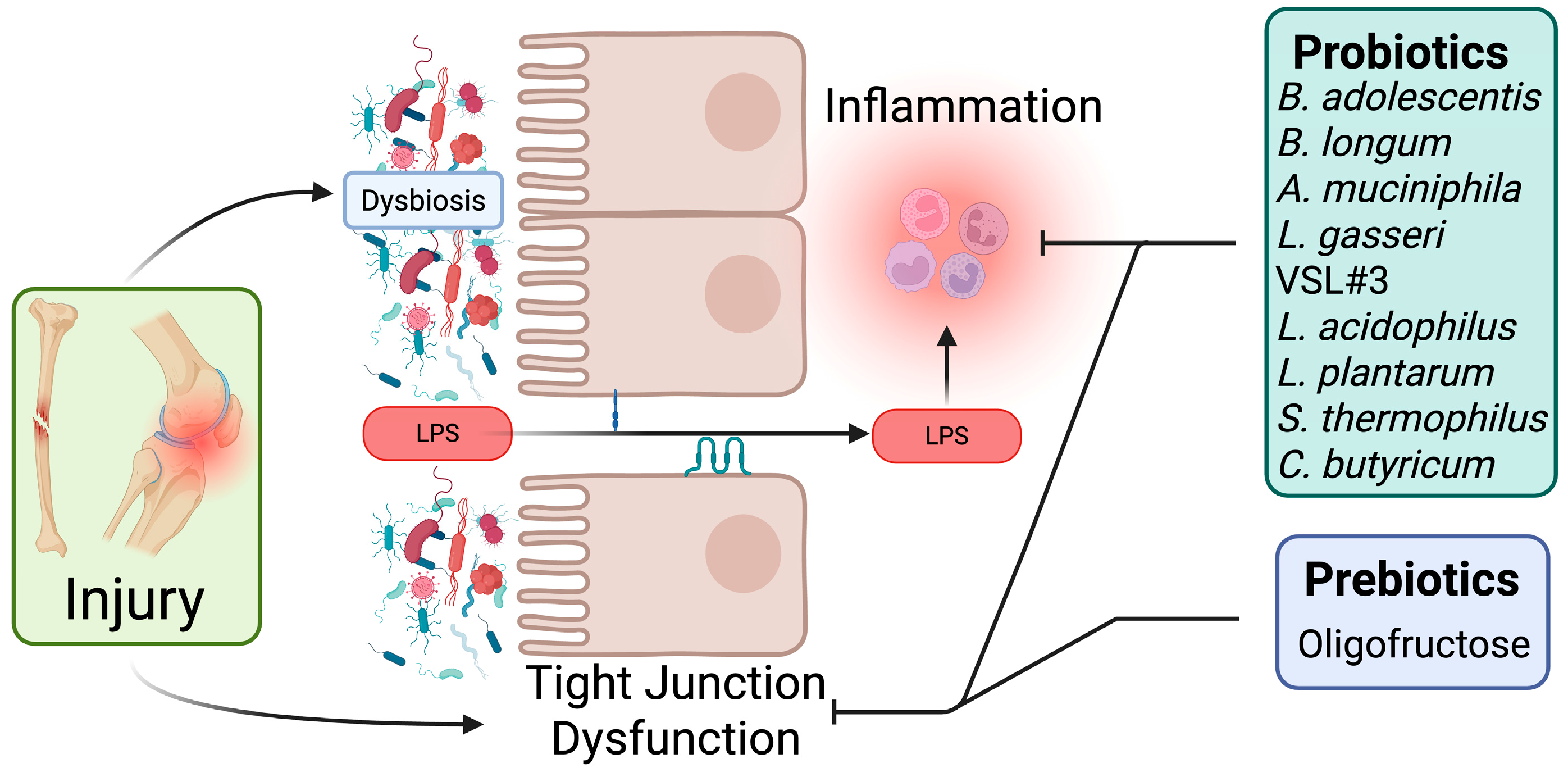 Microorganisms 13 02193 g002 Microorganisms 13 02193 g002