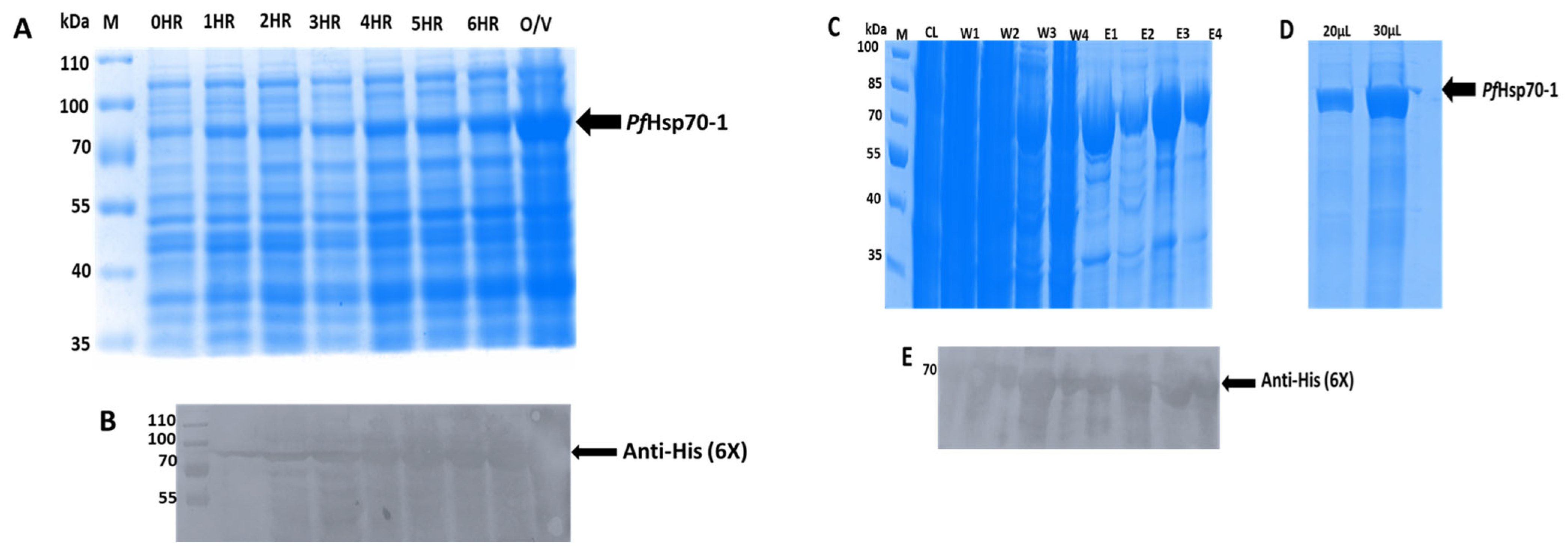 Microorganisms 13 02195 g001
