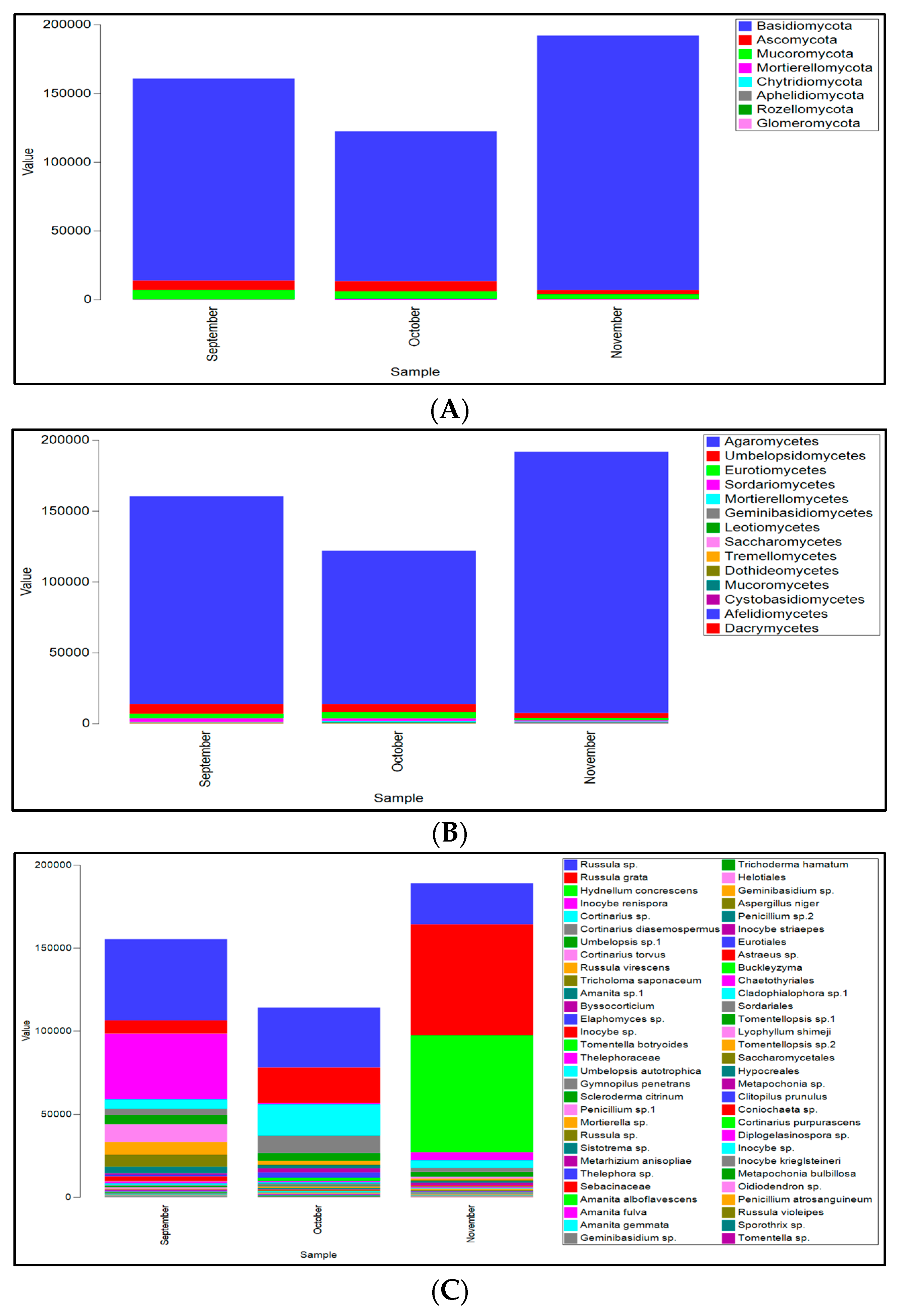 Microorganisms 13 02196 g005 Microorganisms 13 02196 g005