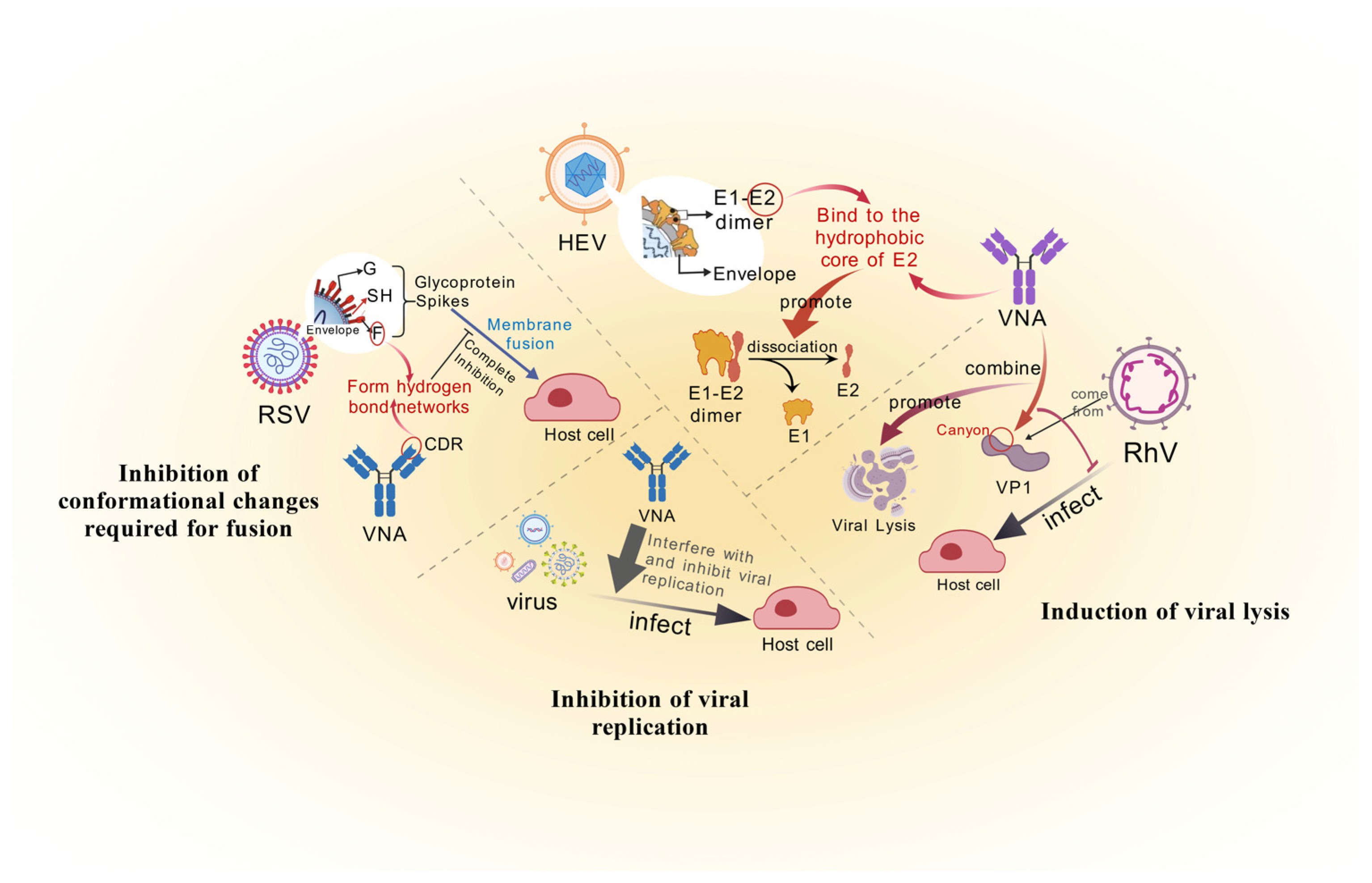 Microorganisms 13 02199 g002 Microorganisms 13 02199 g002