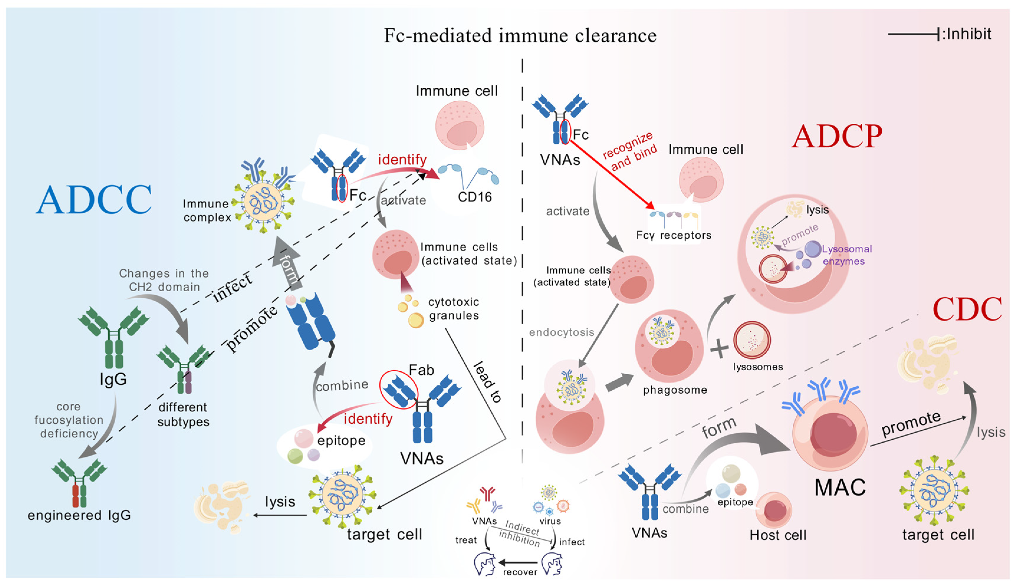 Microorganisms 13 02199 g003 Microorganisms 13 02199 g003