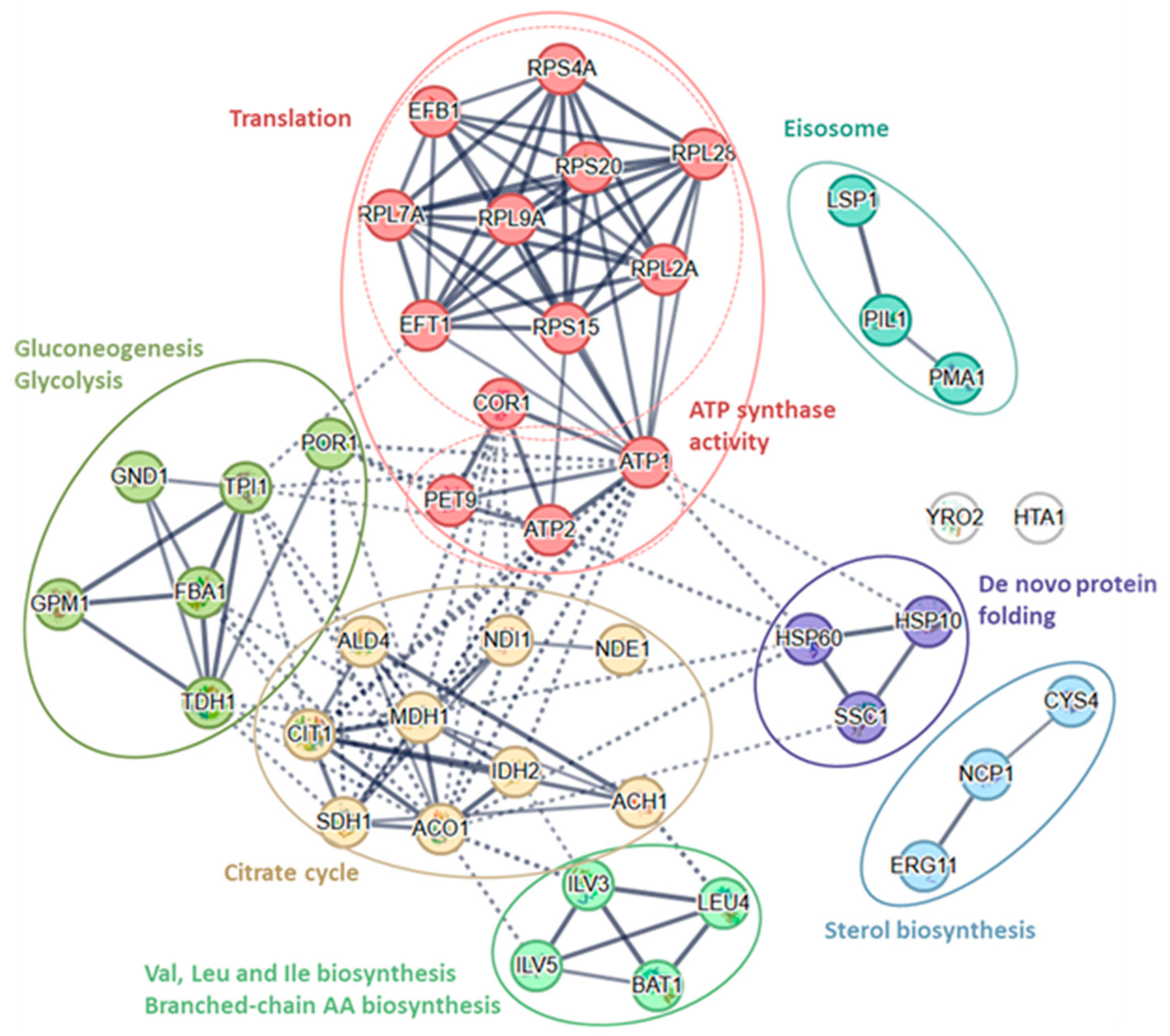 Microorganisms 13 02200 g004