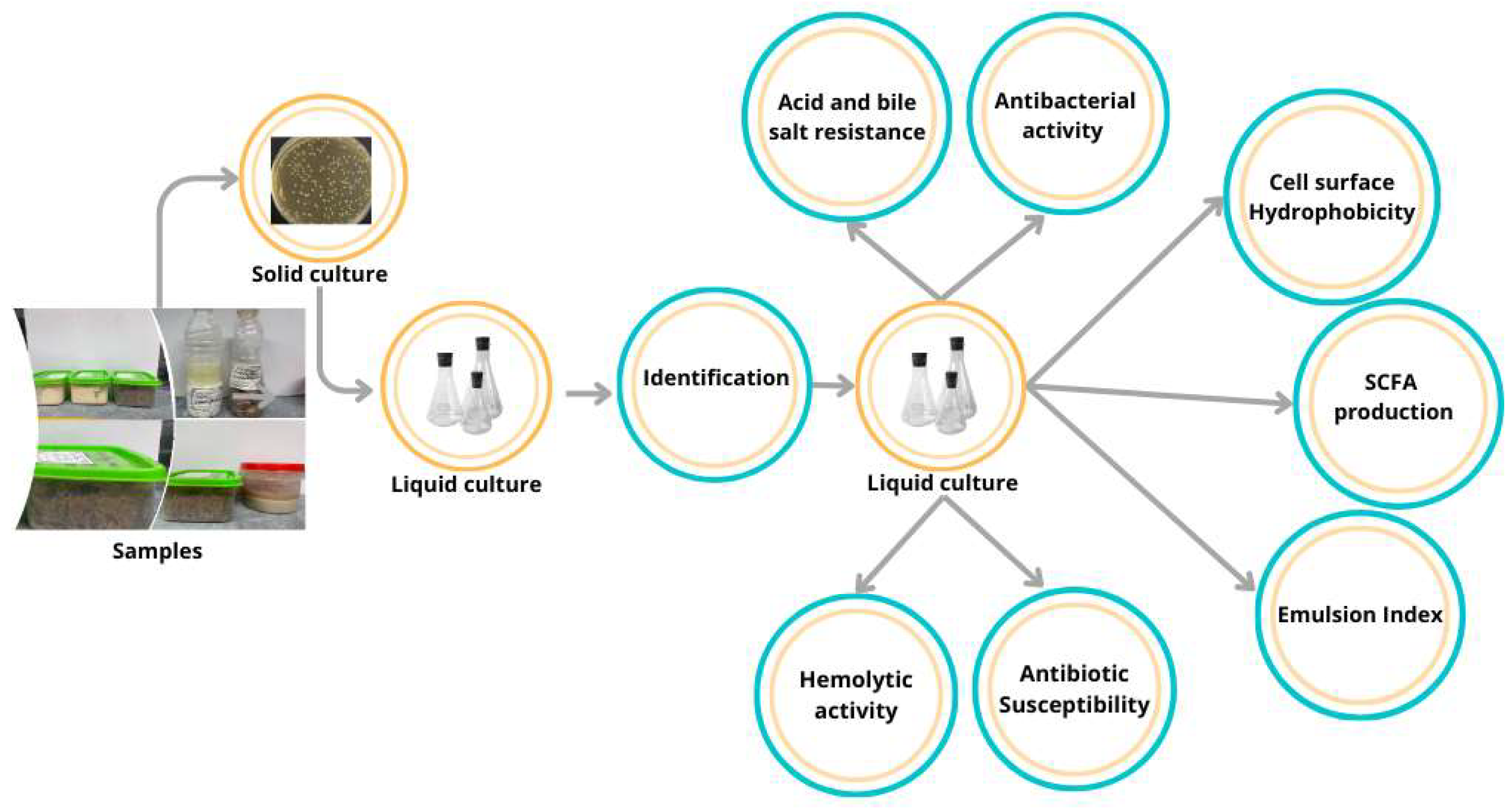 Microorganisms 13 02201 g001 Microorganisms 13 02201 g001