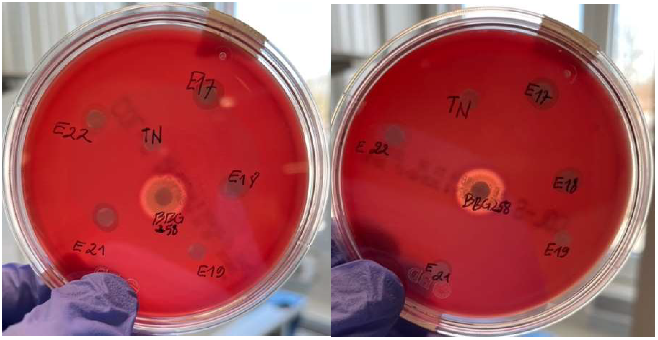 Microorganisms 13 02201 g009 Microorganisms 13 02201 g009