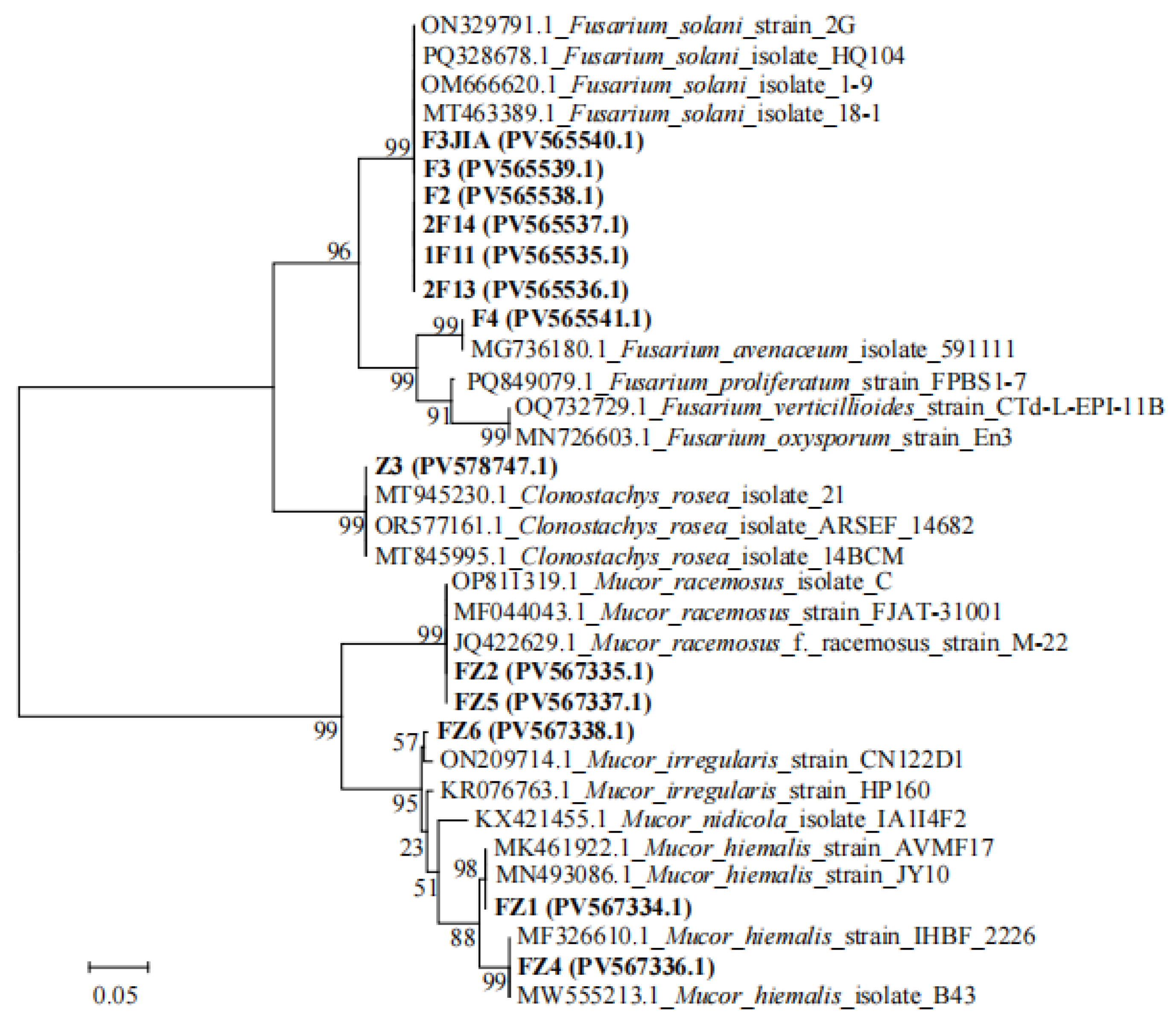 Microorganisms 13 02202 g007 Microorganisms 13 02202 g007