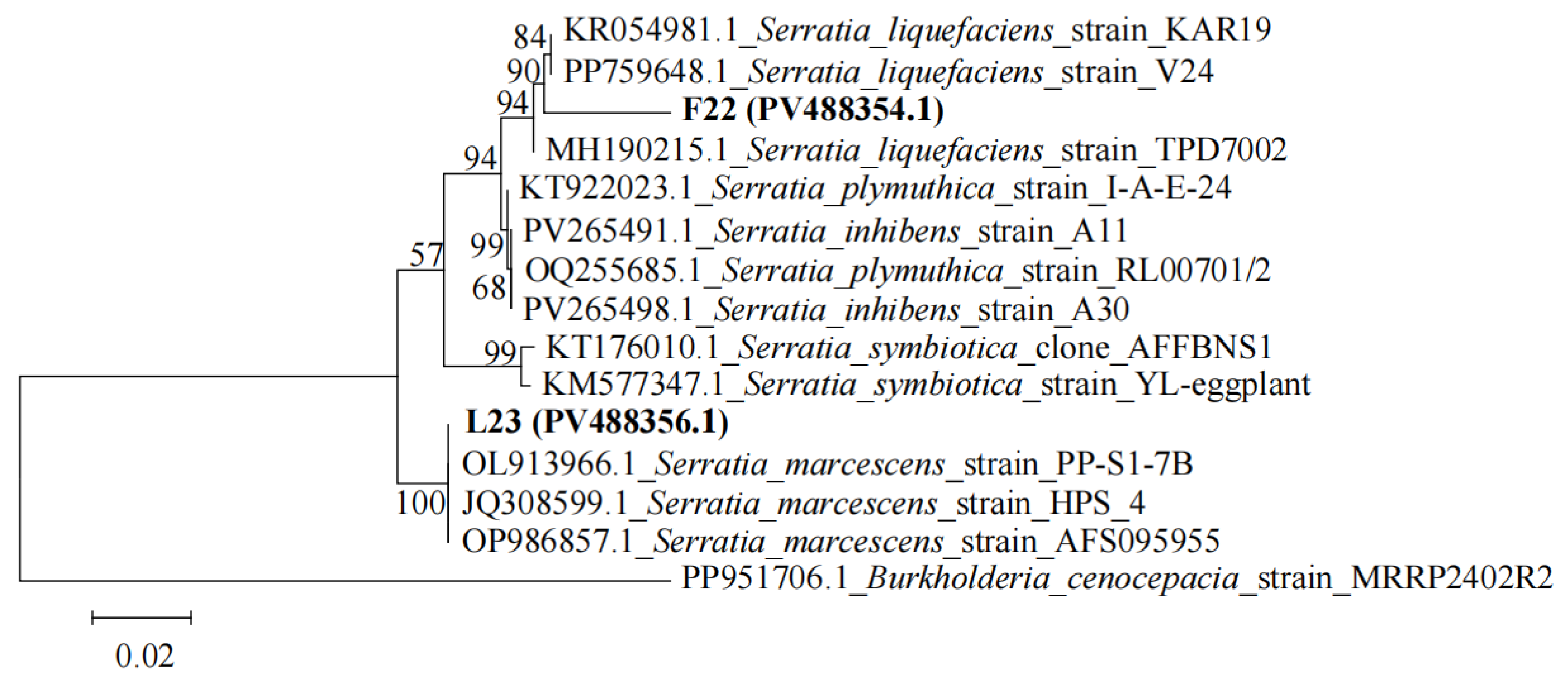 Microorganisms 13 02202 g008 Microorganisms 13 02202 g008