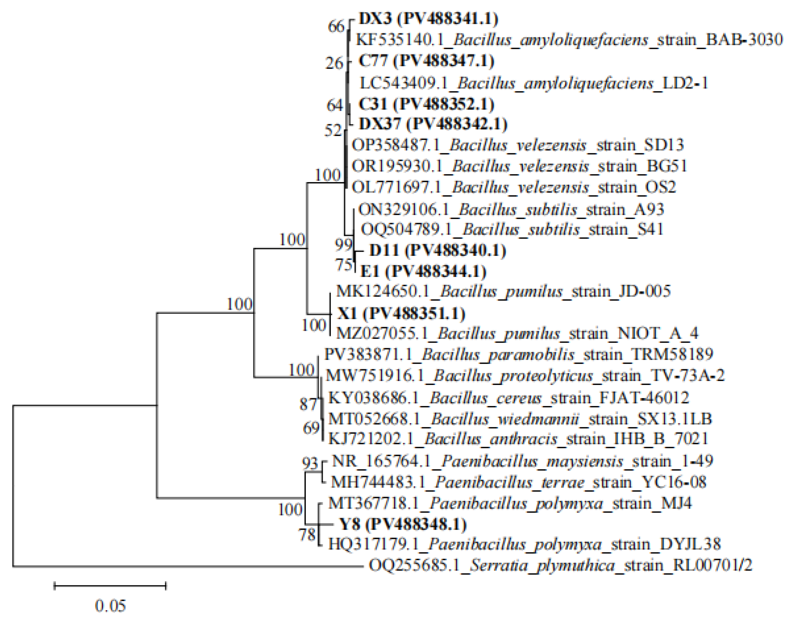 Microorganisms 13 02202 g012 Microorganisms 13 02202 g012