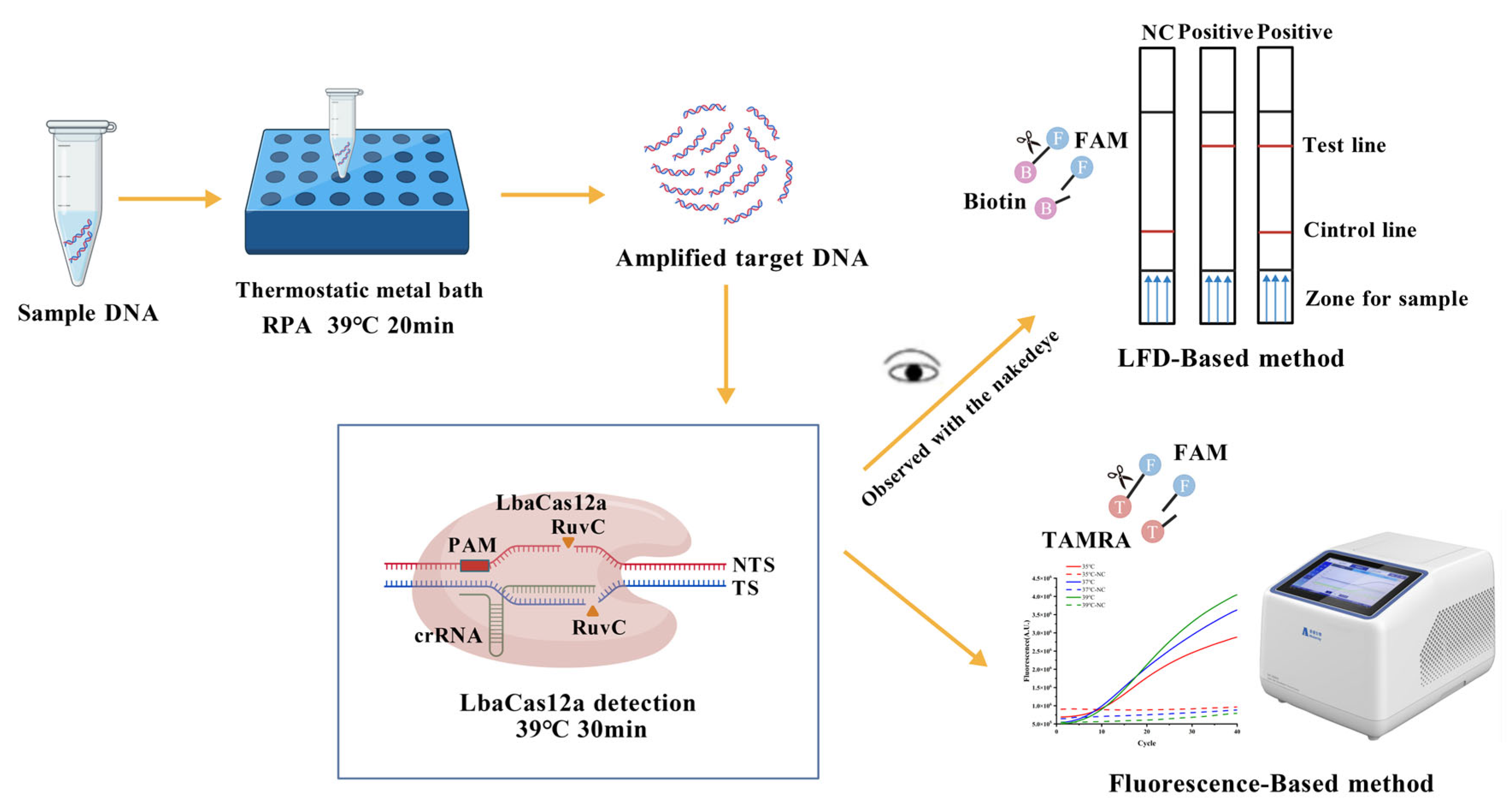 Microorganisms 13 02203 g001 Microorganisms 13 02203 g001