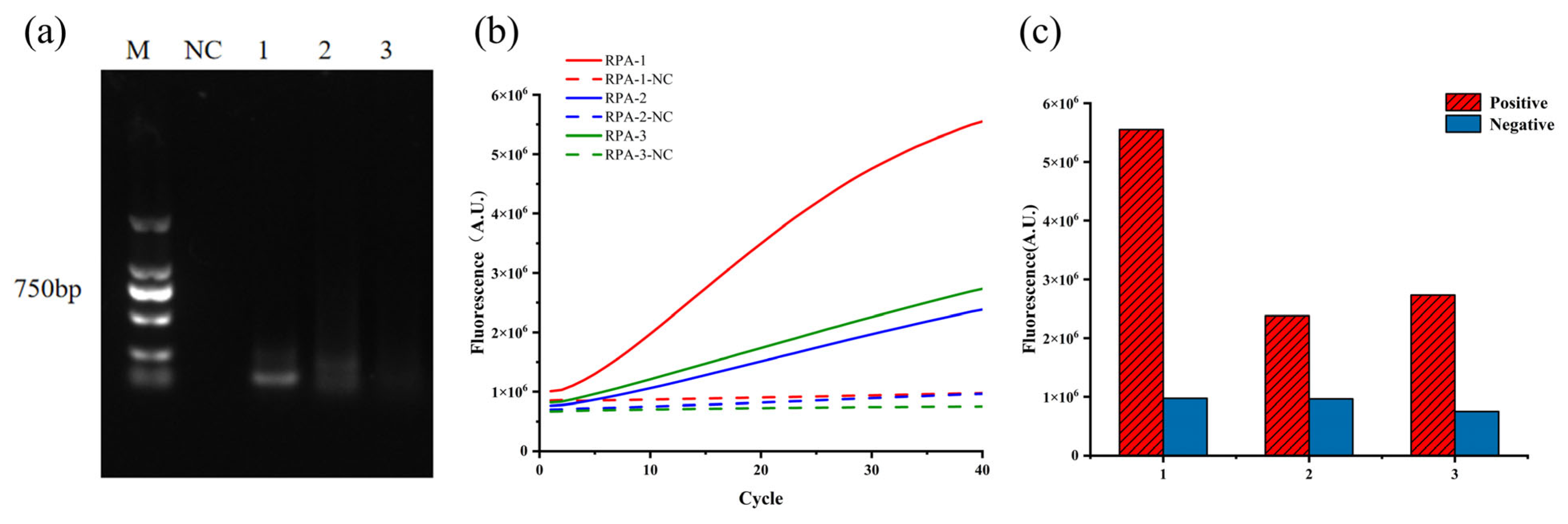 Microorganisms 13 02203 g002 Microorganisms 13 02203 g002