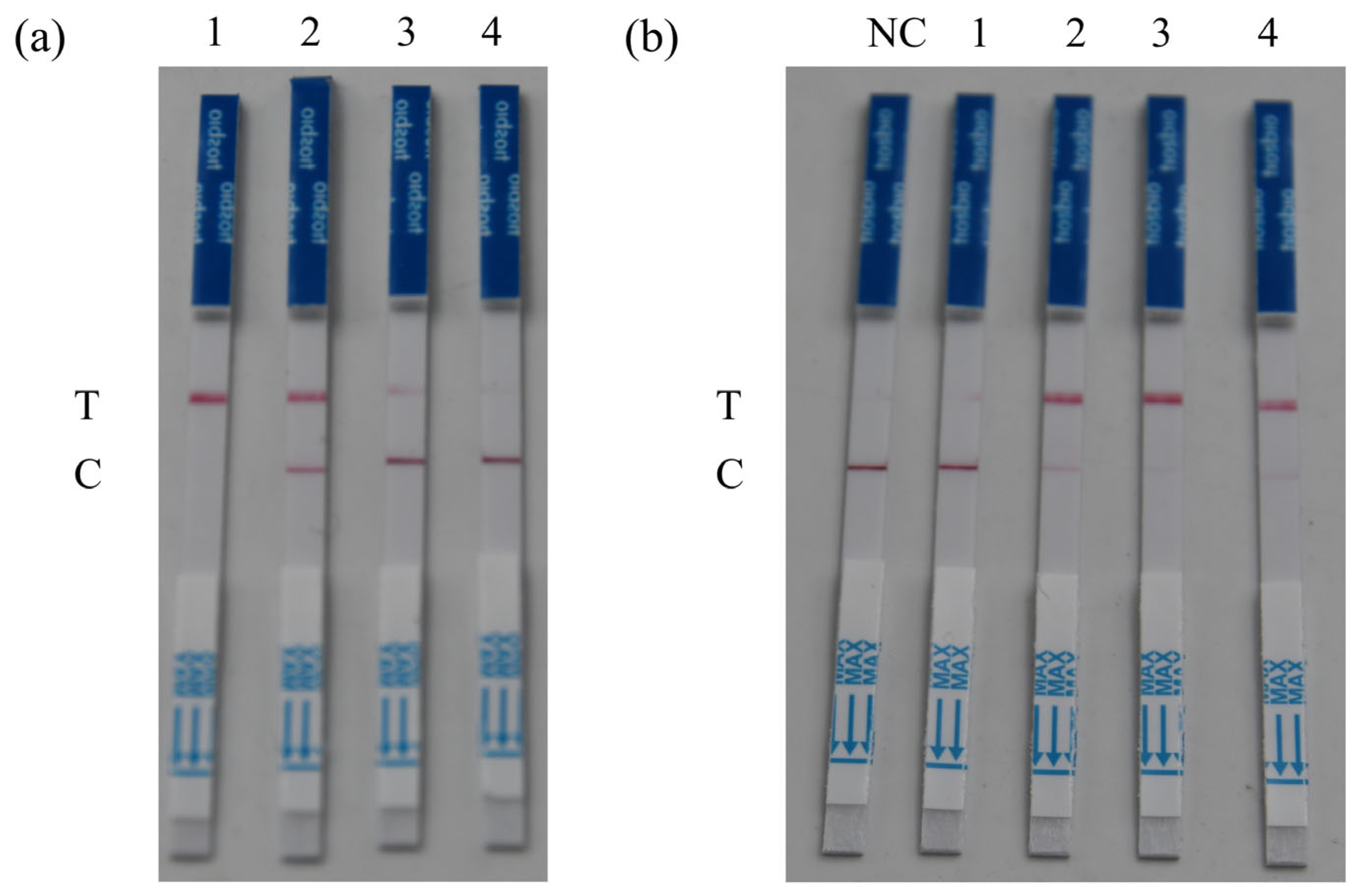 Microorganisms 13 02203 g003 Microorganisms 13 02203 g003