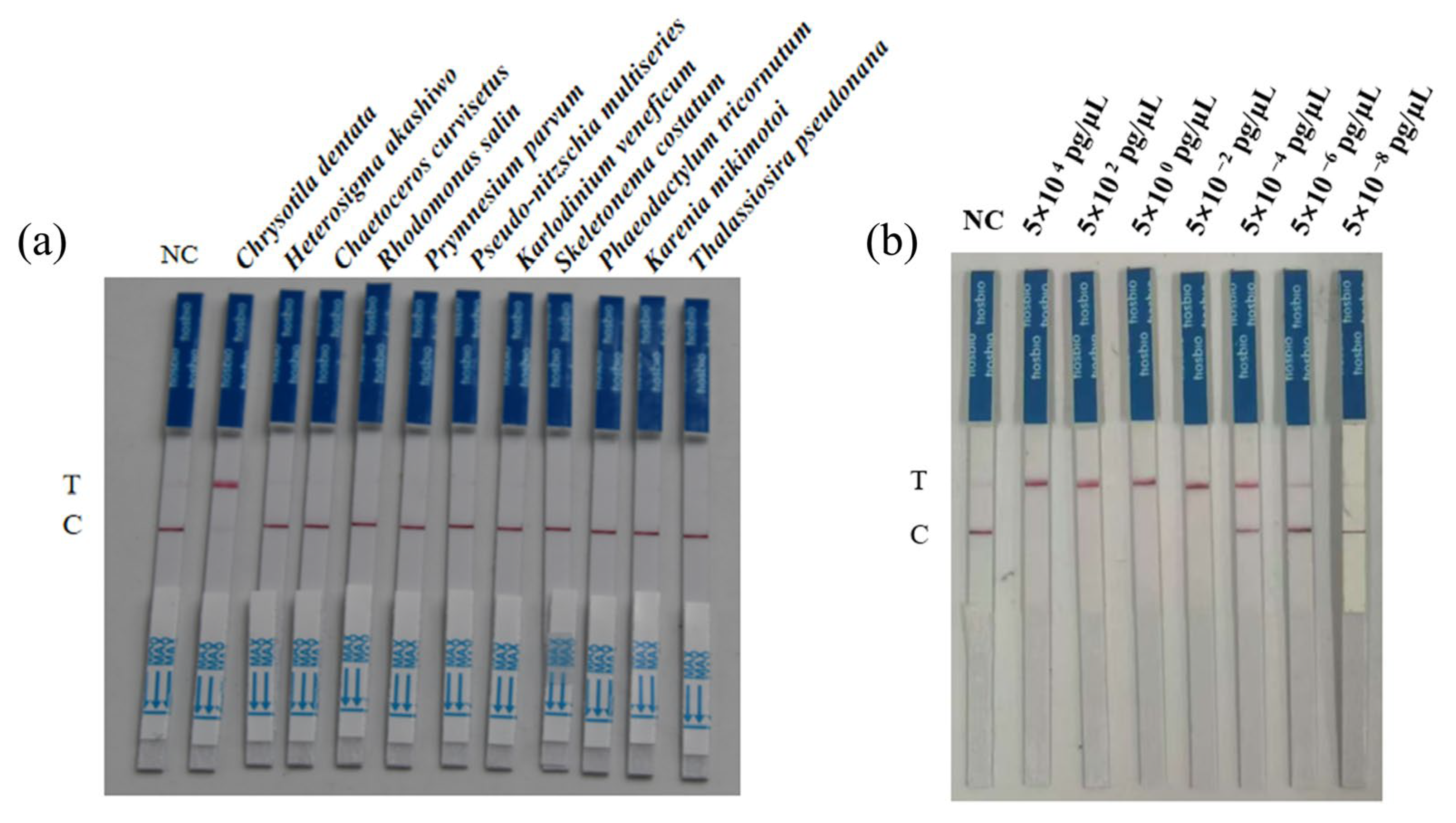 Microorganisms 13 02203 g005 Microorganisms 13 02203 g005