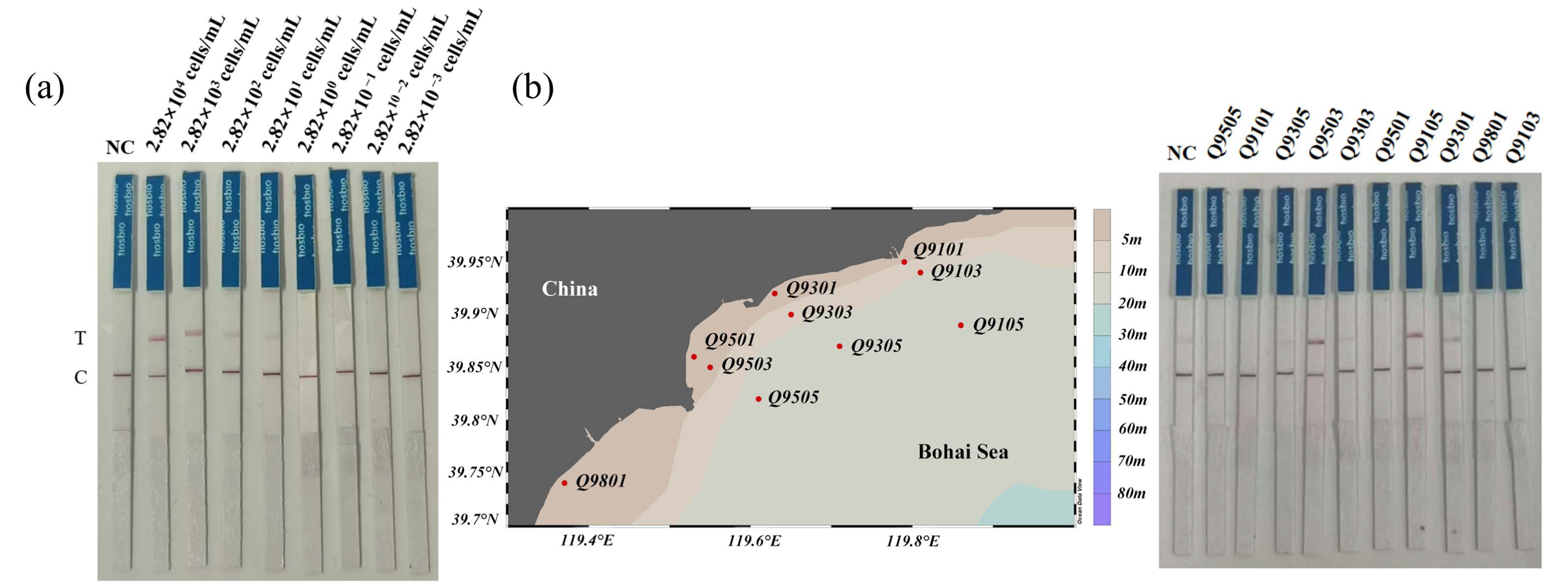 Microorganisms 13 02203 g006 Microorganisms 13 02203 g006