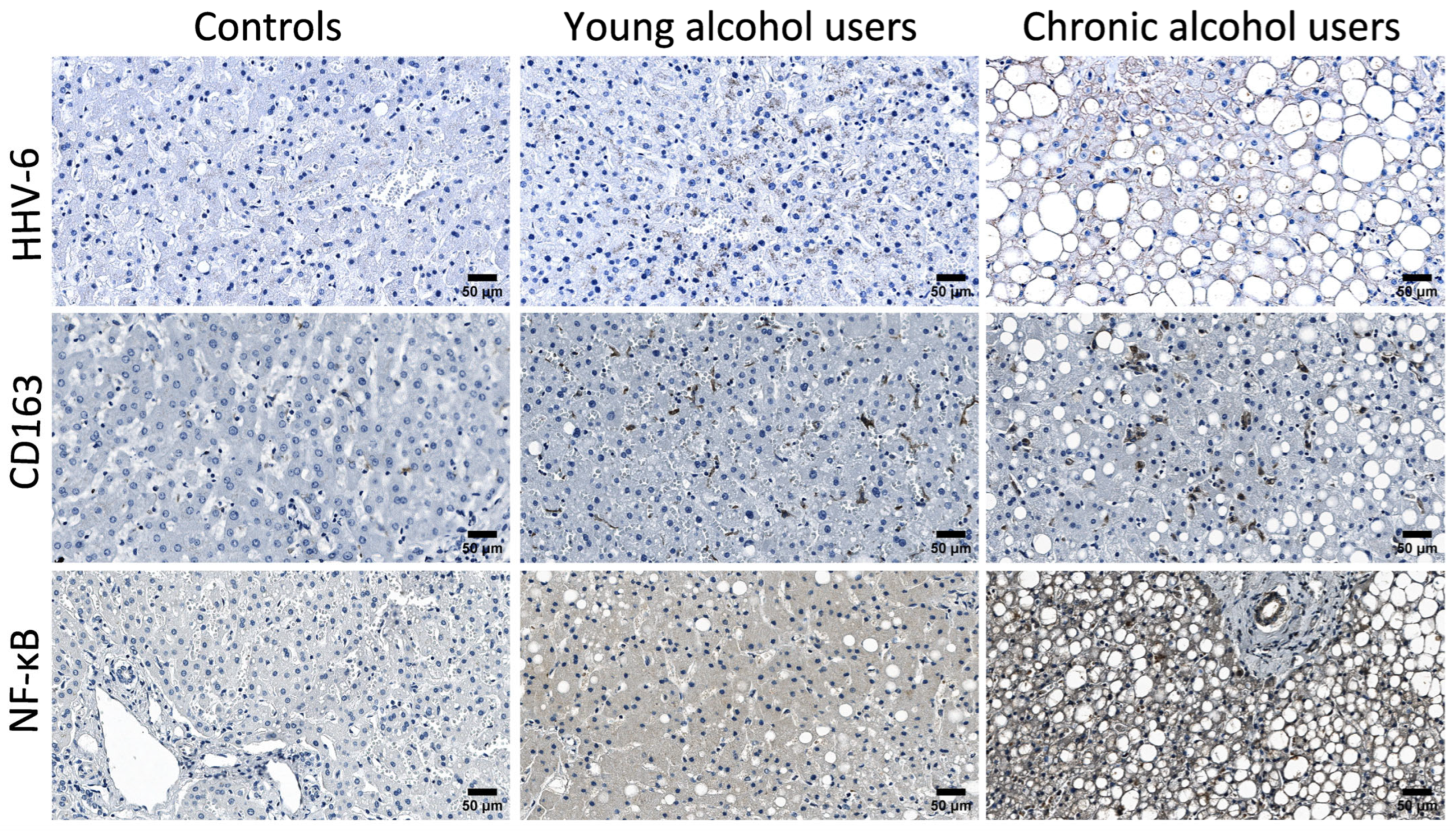 Microorganisms 13 02204 g004 Microorganisms 13 02204 g004
