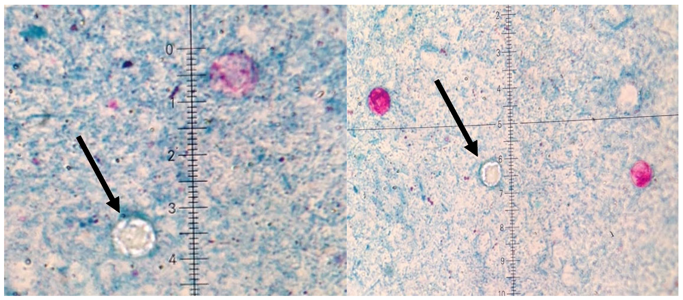 Microorganisms 13 02209 g001 Microorganisms 13 02209 g001