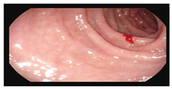 Microorganisms 13 02209 i003 Microorganisms 13 02209 i003