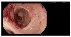 Microorganisms 13 02209 i004 Microorganisms 13 02209 i004