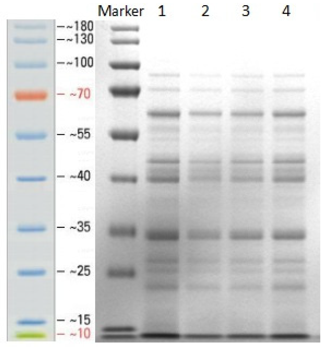 Microorganisms 13 02212 g001 Microorganisms 13 02212 g001