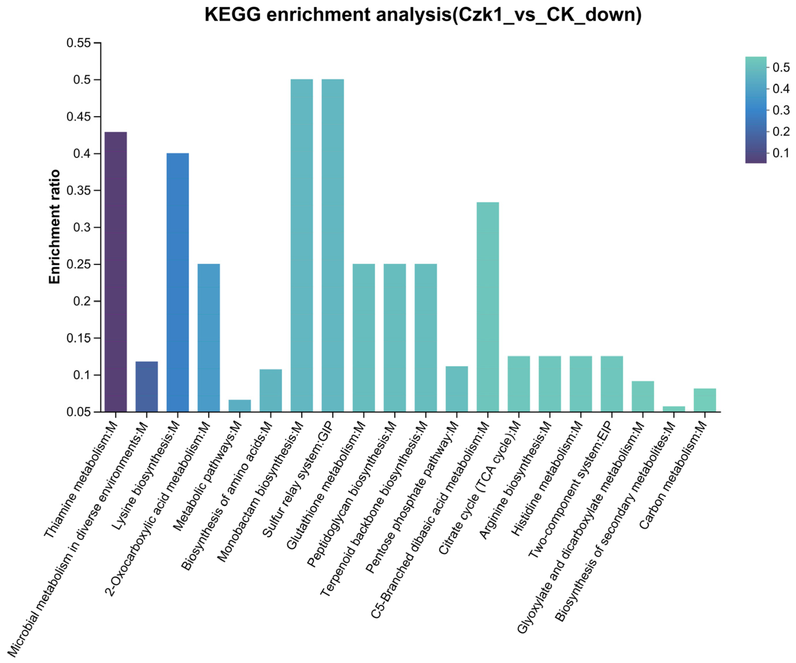 Microorganisms 13 02212 g013b Microorganisms 13 02212 g013b