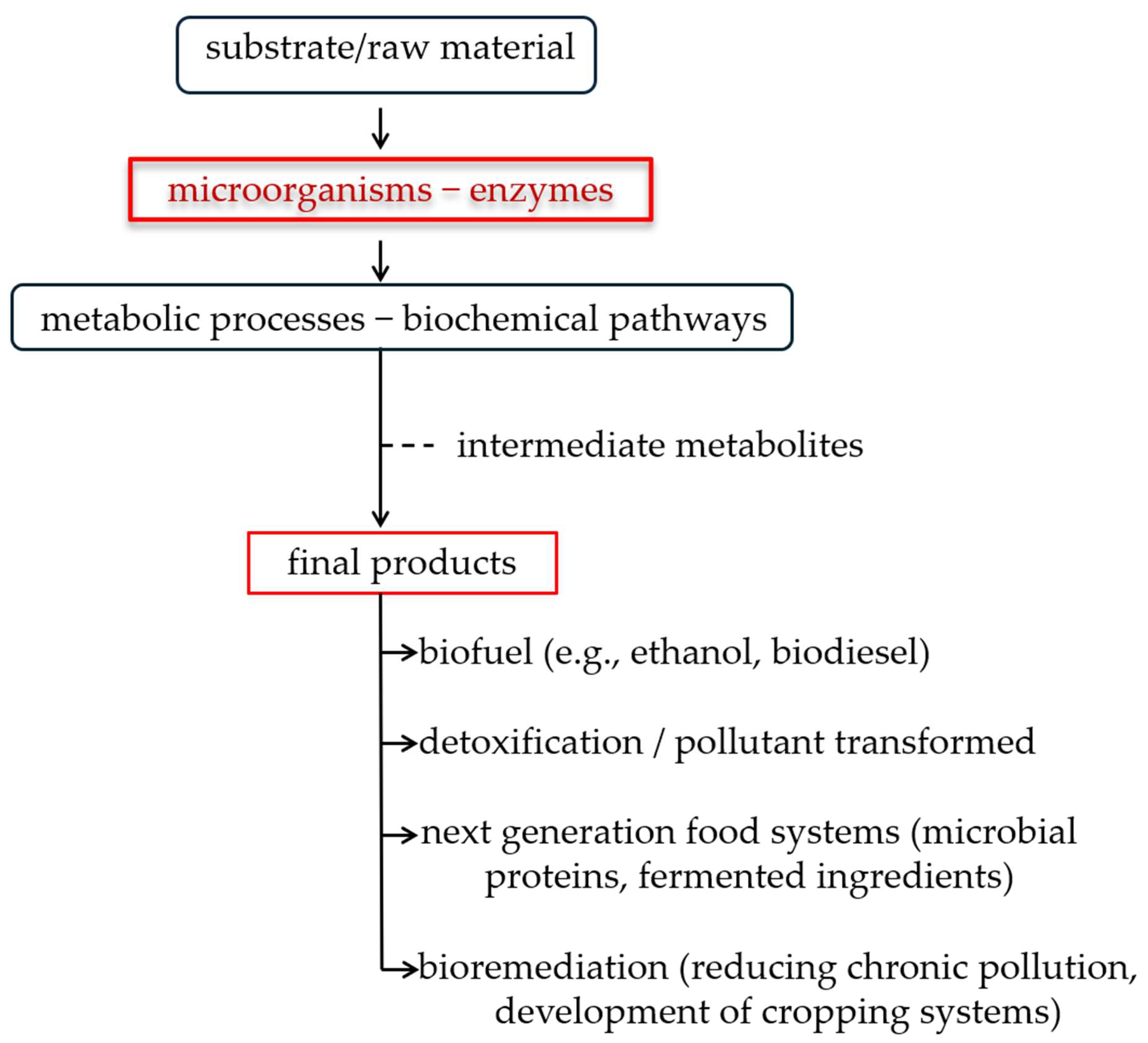 Microorganisms 13 02217 g001