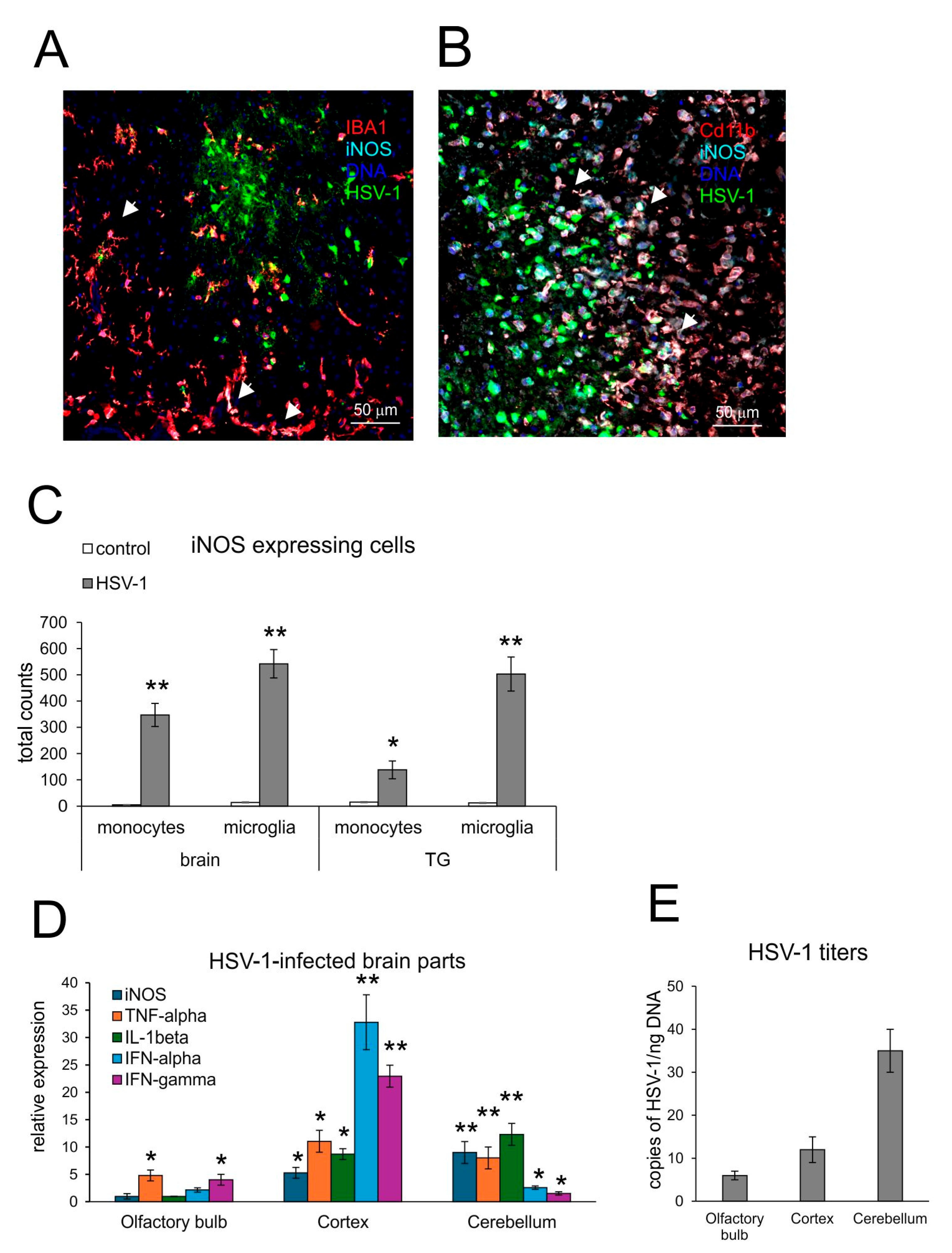 Microorganisms 13 02222 g001 Microorganisms 13 02222 g001