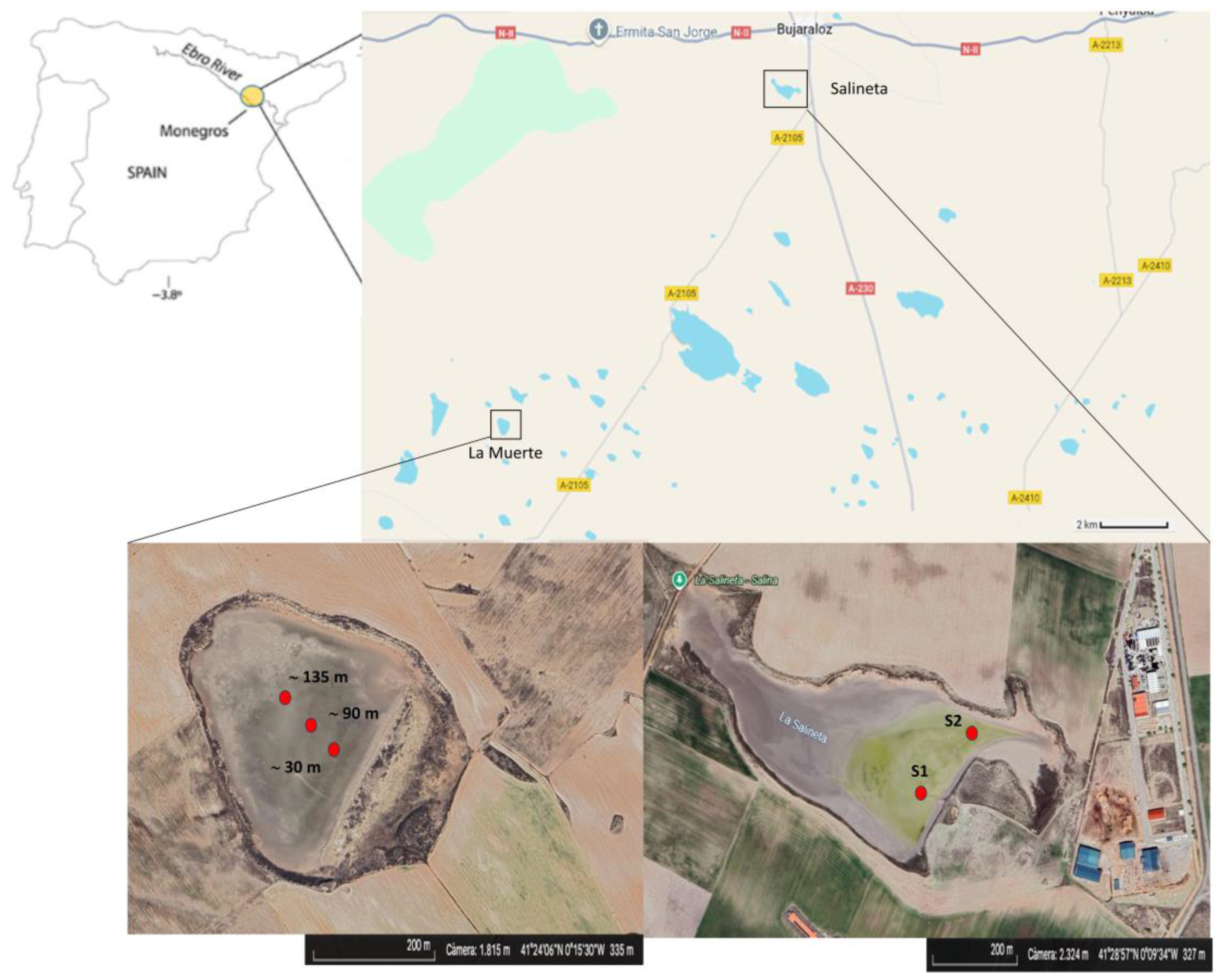 Microorganisms 13 02224 g001 Microorganisms 13 02224 g001