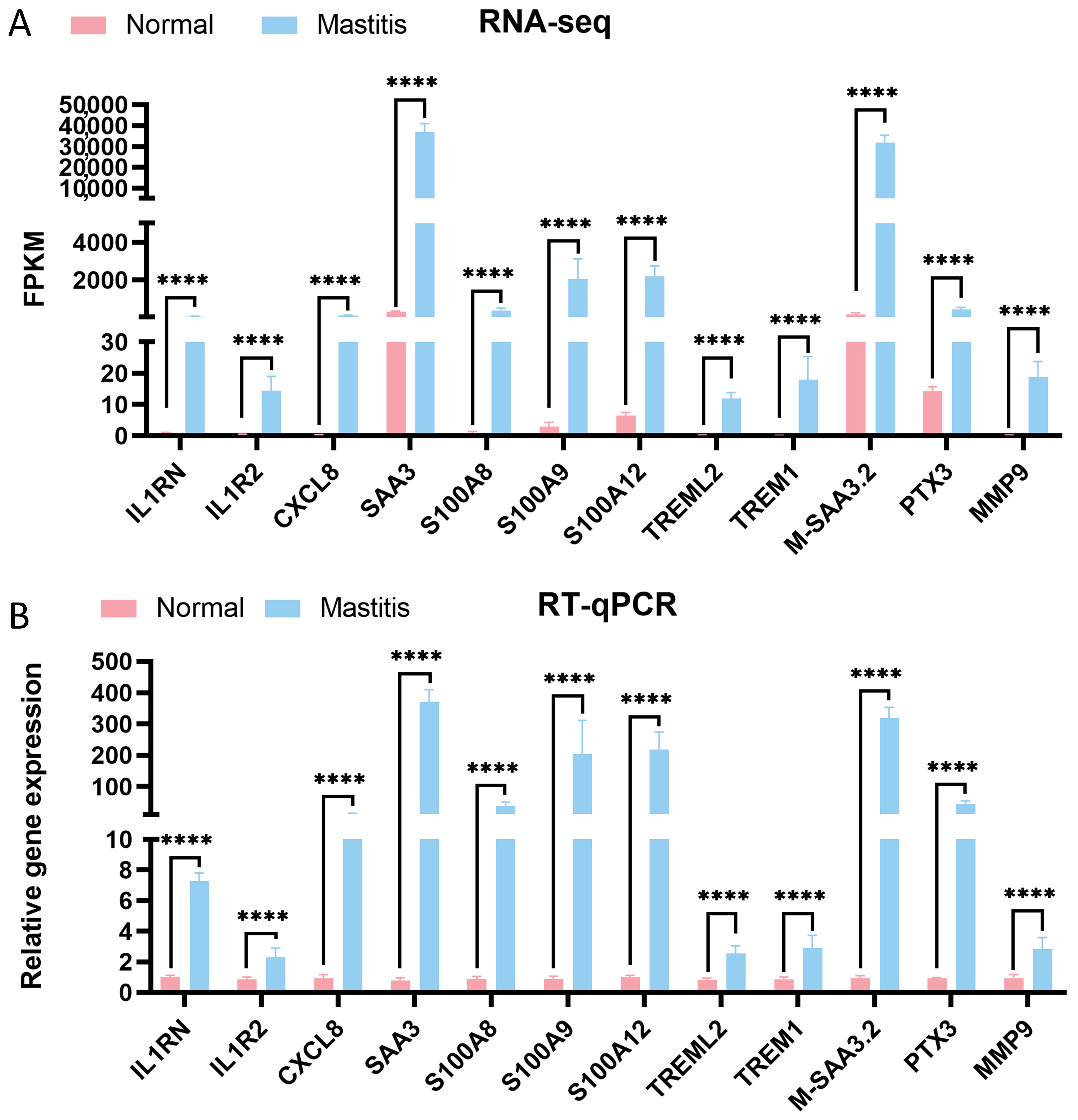 Microorganisms 13 02226 g006 Microorganisms 13 02226 g006