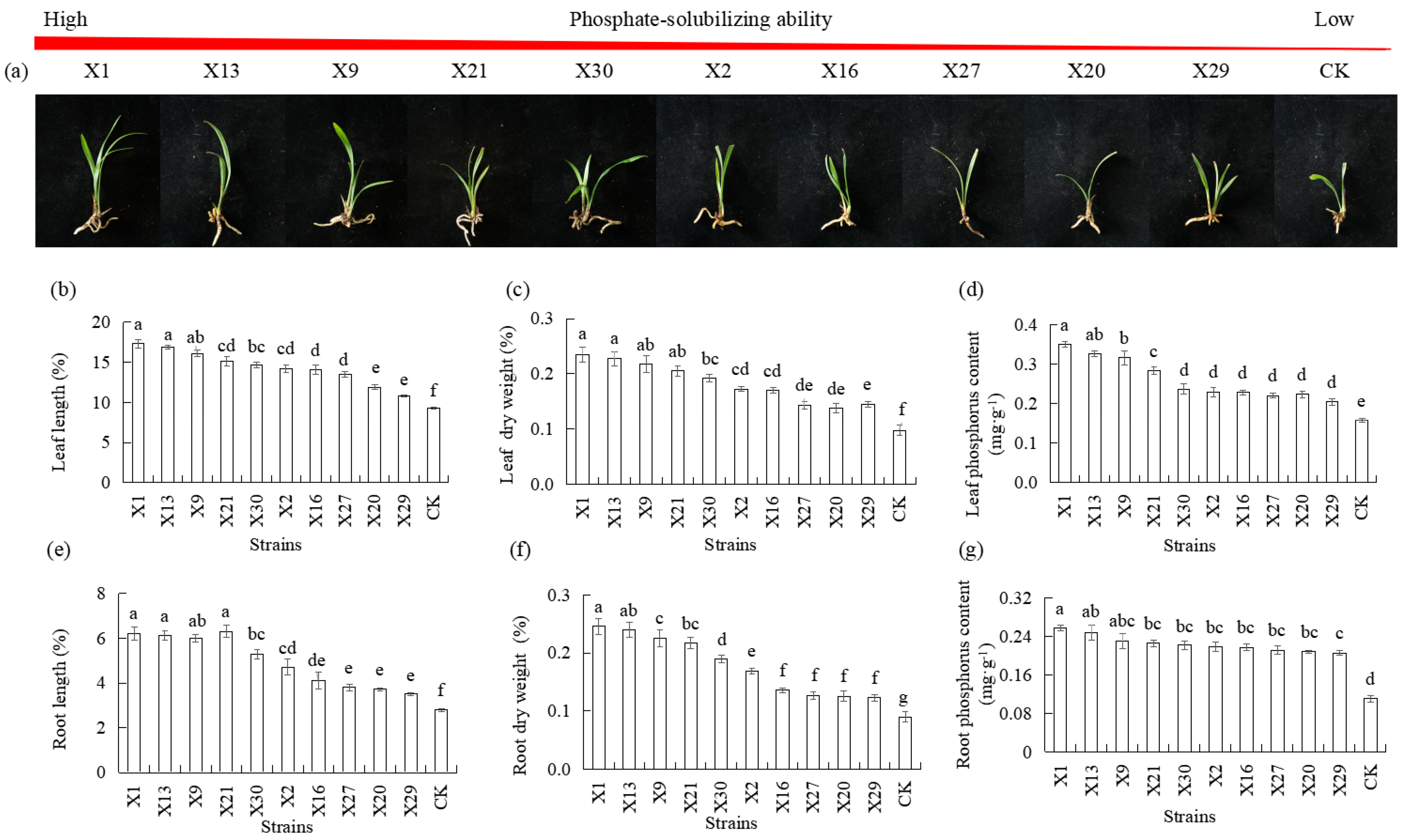 Microorganisms 13 02229 g003 Microorganisms 13 02229 g003