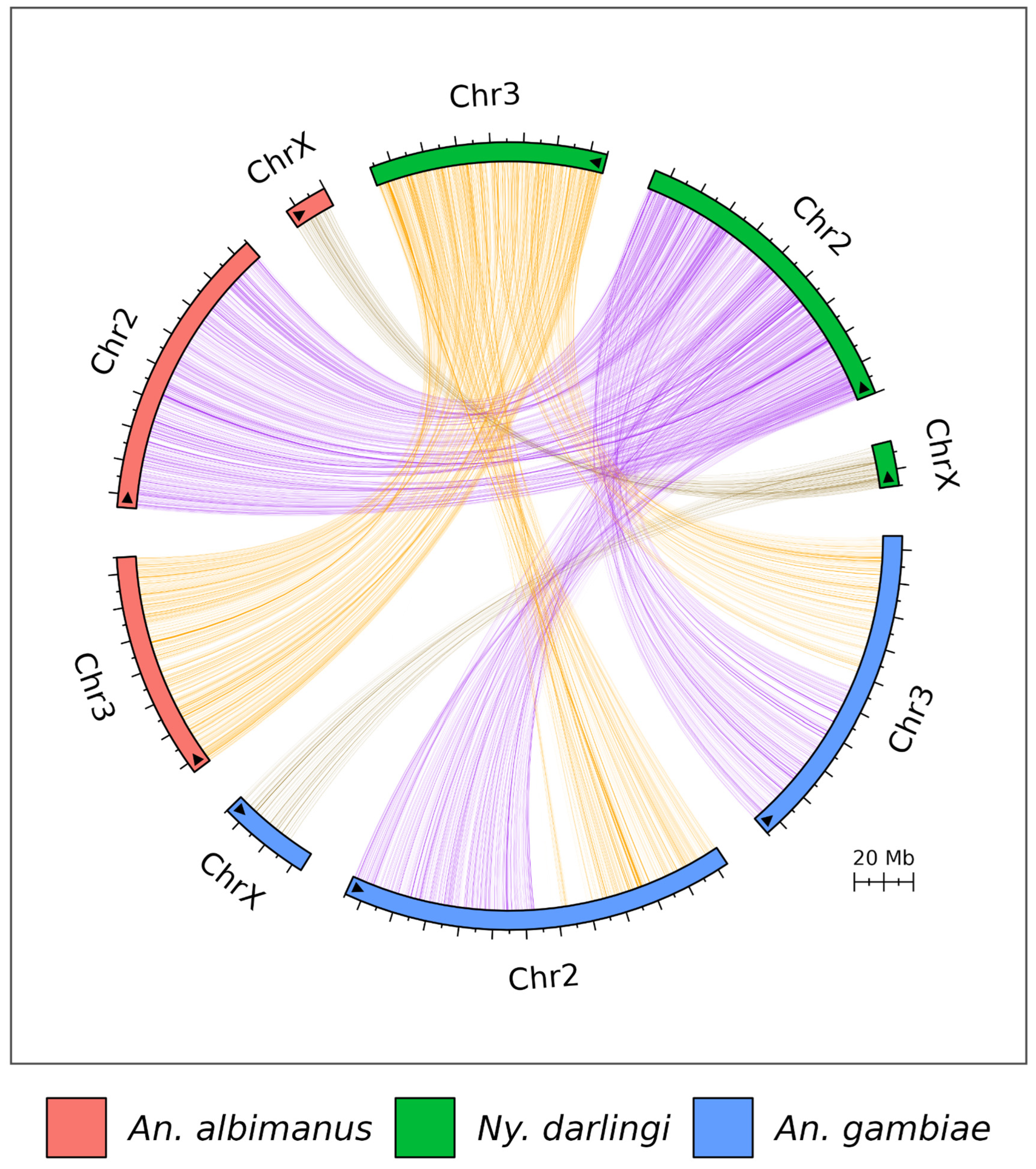 Microorganisms 13 02231 g004 Microorganisms 13 02231 g004