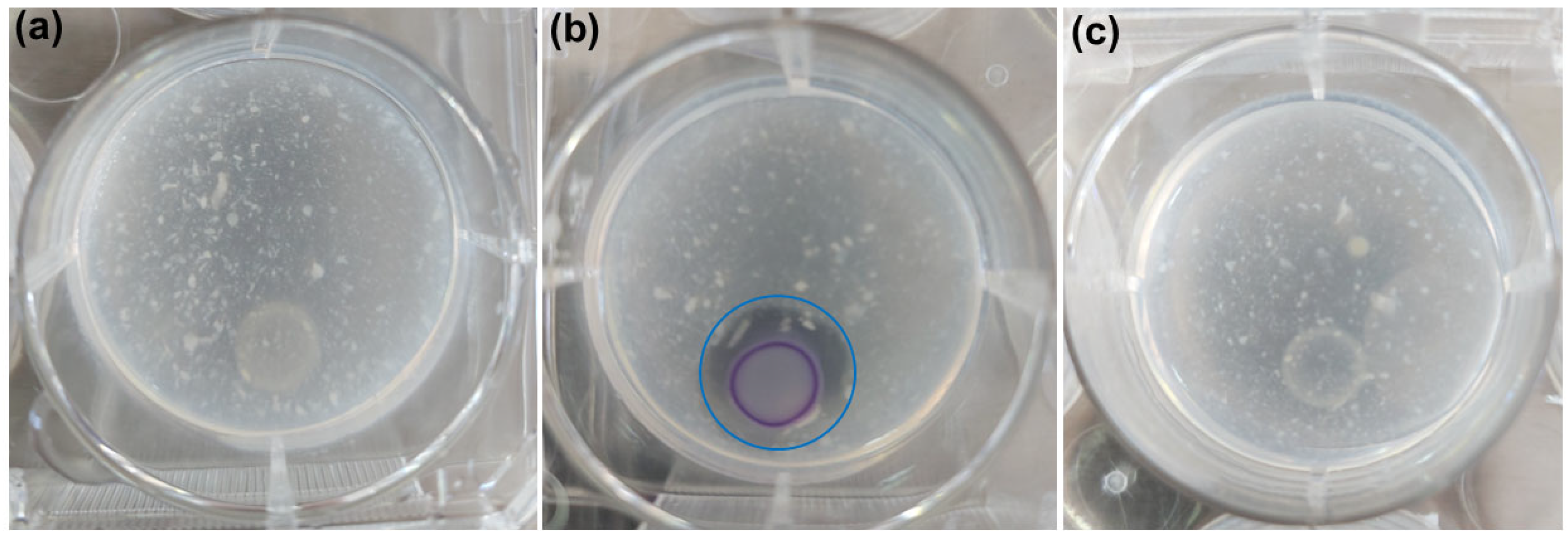 Microorganisms 13 02235 g001 Microorganisms 13 02235 g001