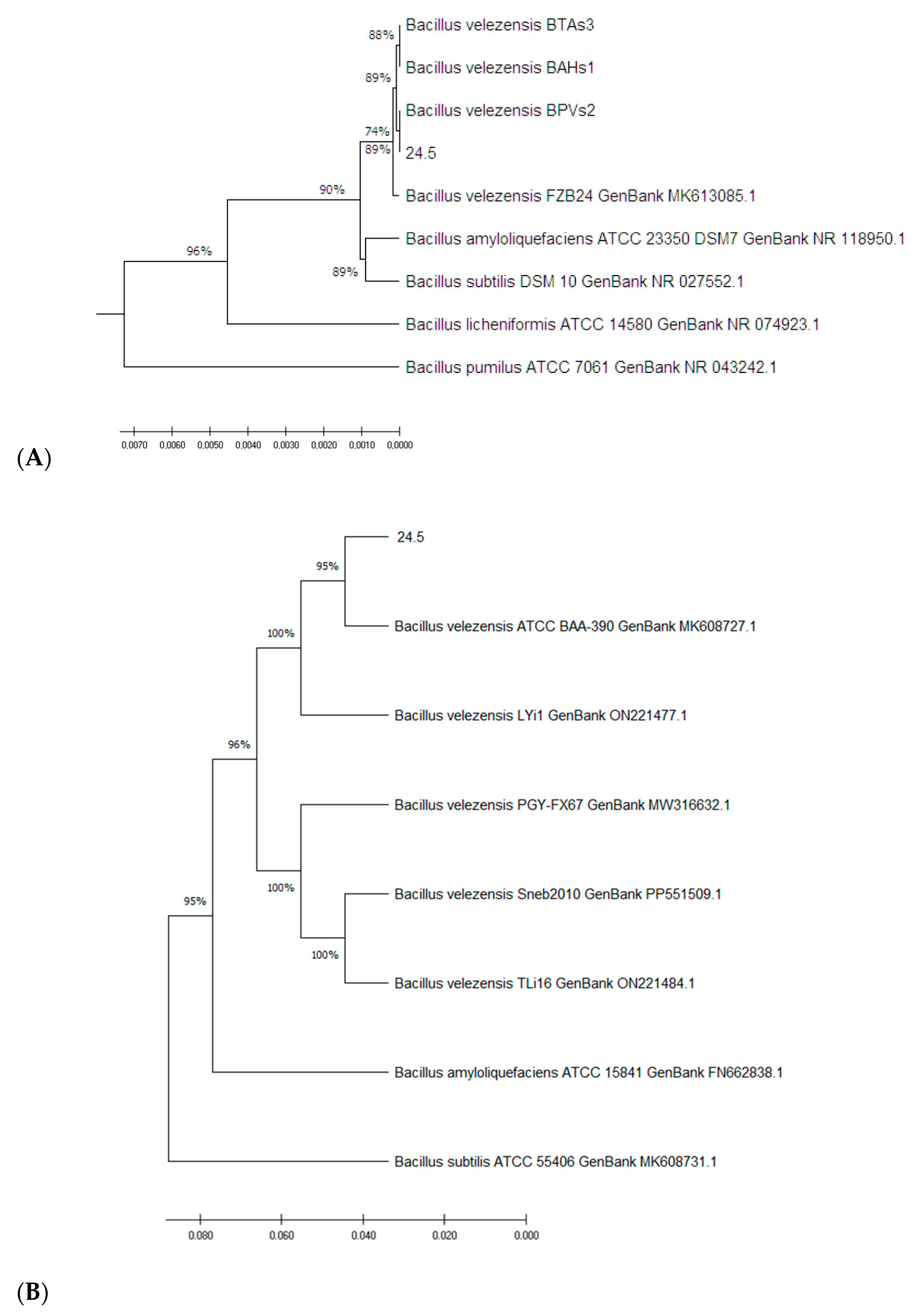 Microorganisms 13 02240 g001 Microorganisms 13 02240 g001