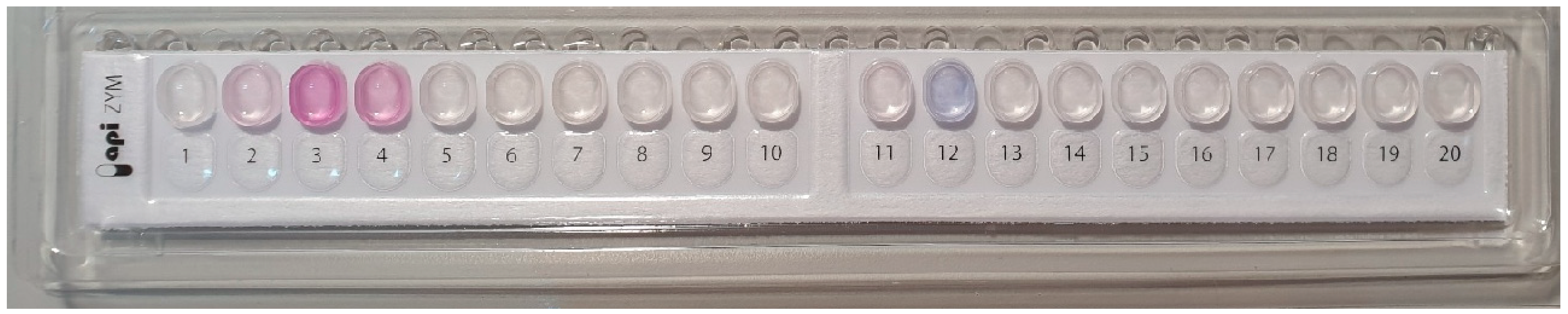 Microorganisms 13 02240 i030 Microorganisms 13 02240 i030