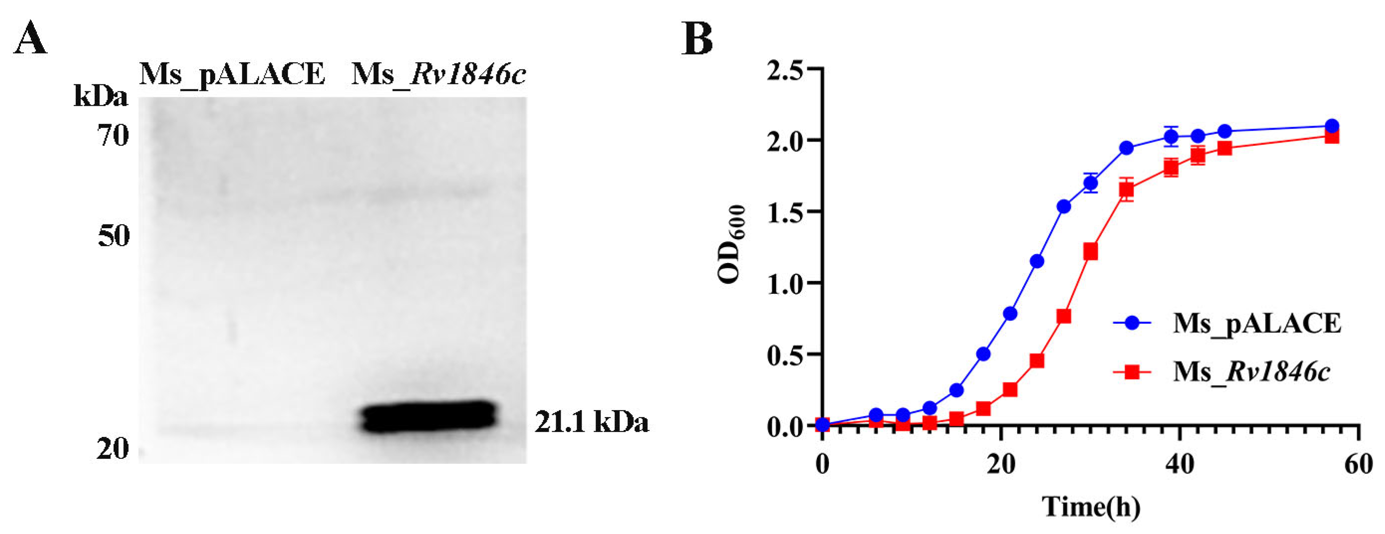 Microorganisms 13 02245 g001
