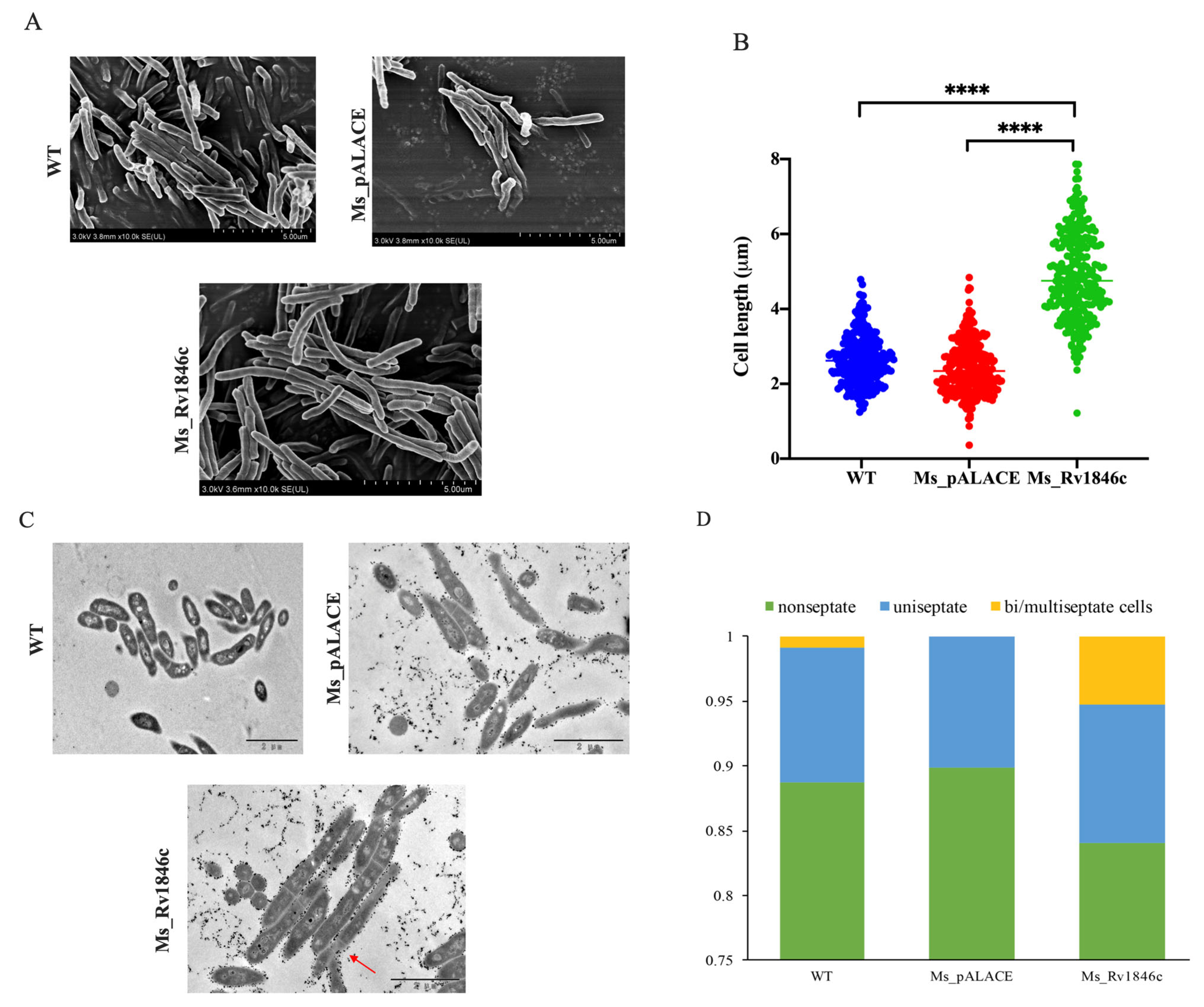 Microorganisms 13 02245 g002