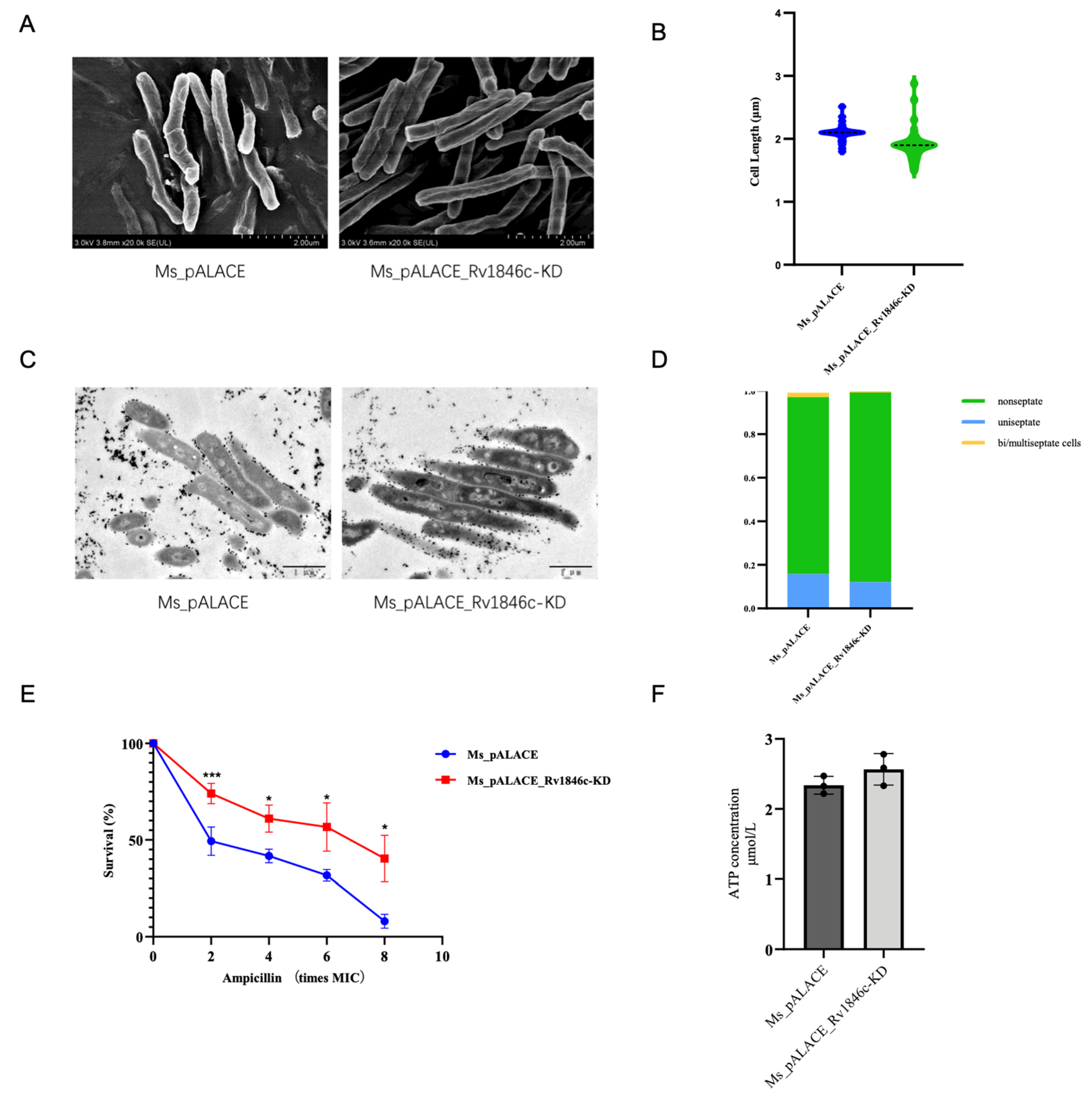 Microorganisms 13 02245 g008