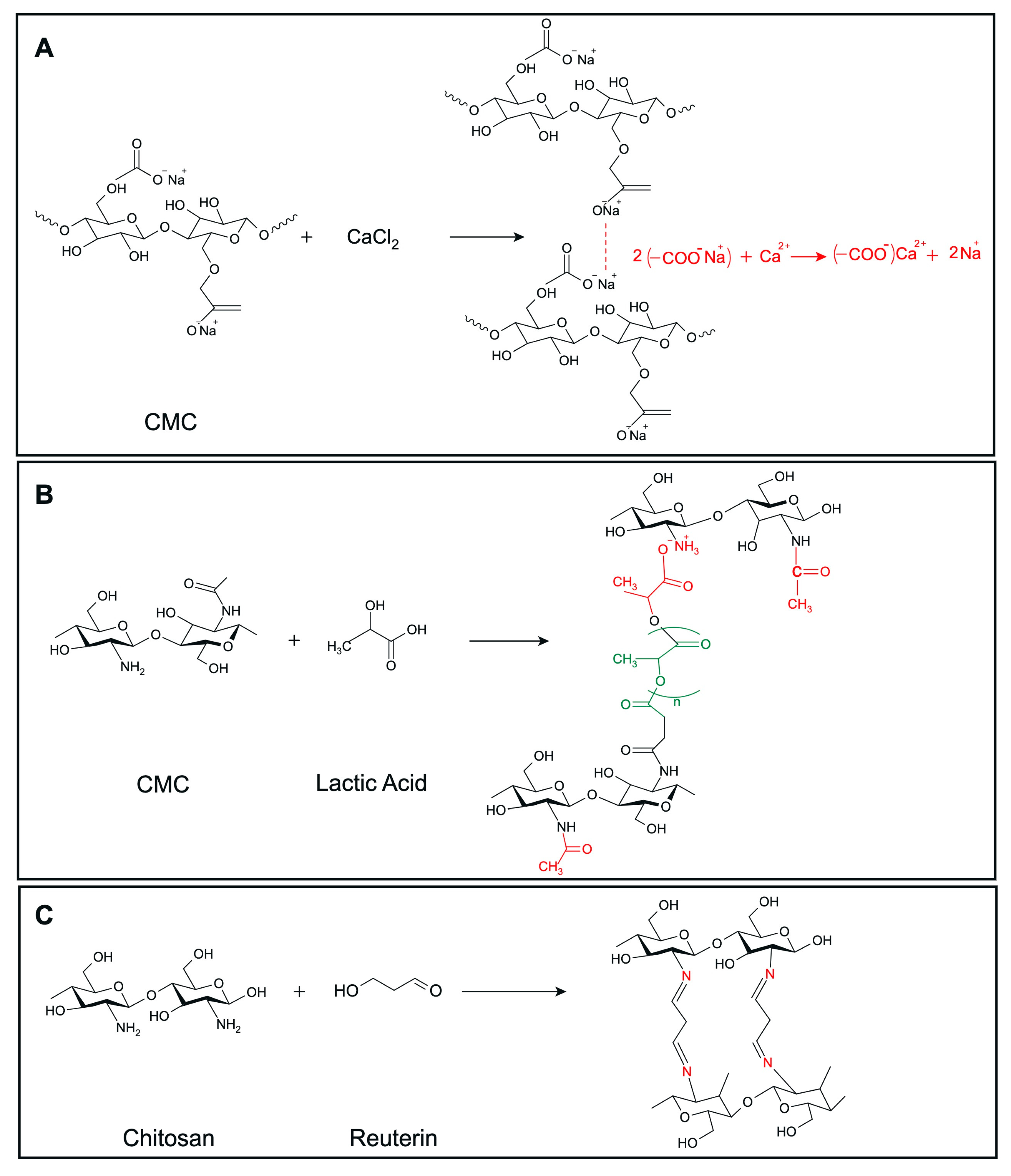 Microorganisms 13 02249 g002