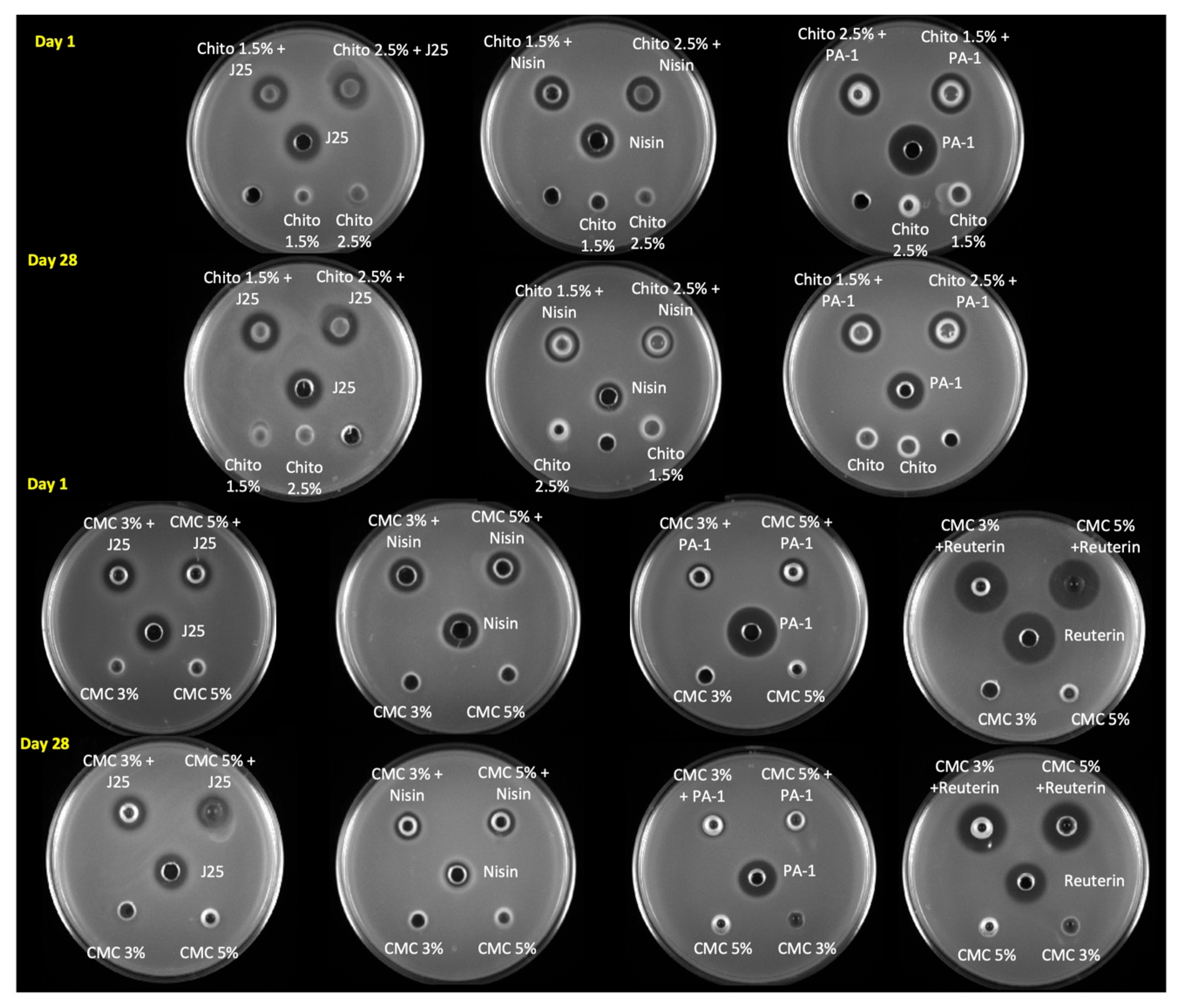 Microorganisms 13 02249 g006