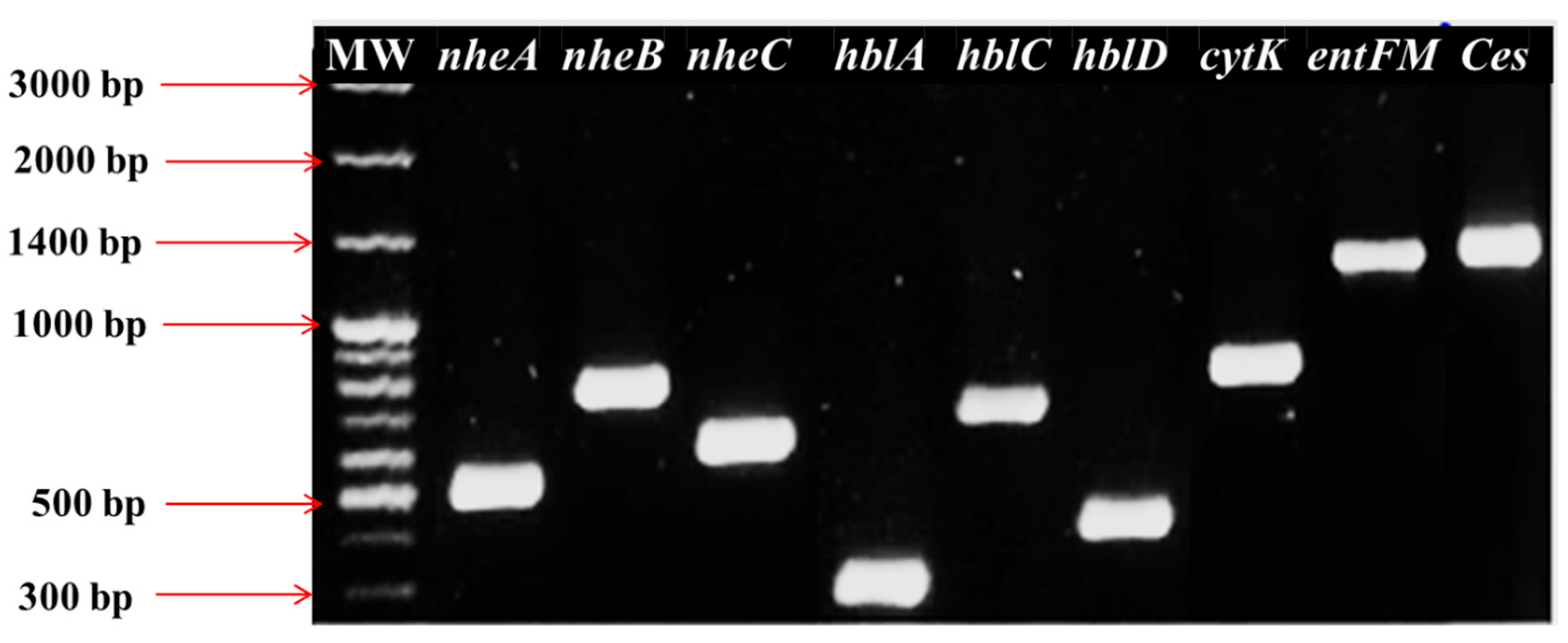 Microorganisms 13 02253 g003