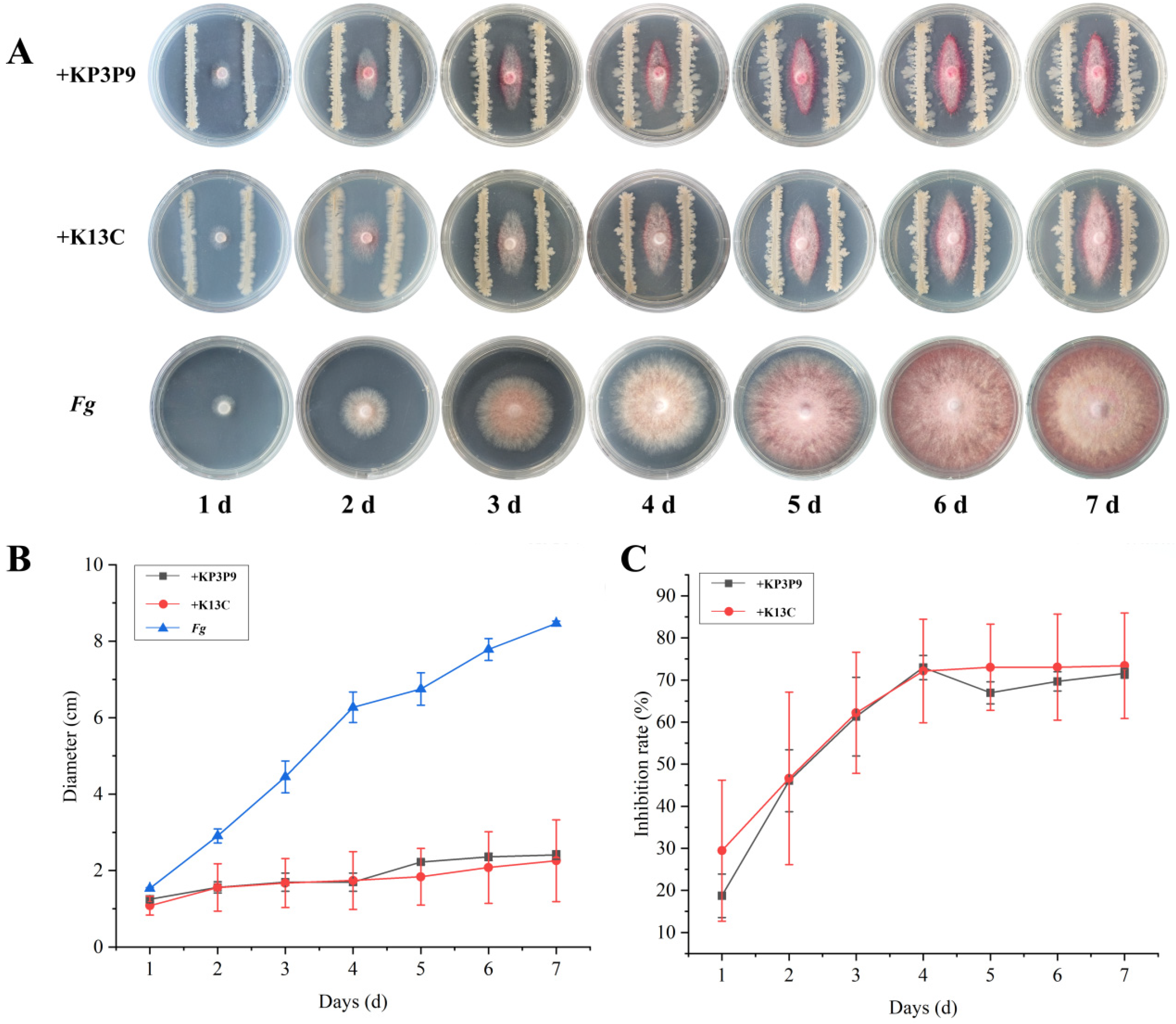 Microorganisms 13 02255 g002 Microorganisms 13 02255 g002