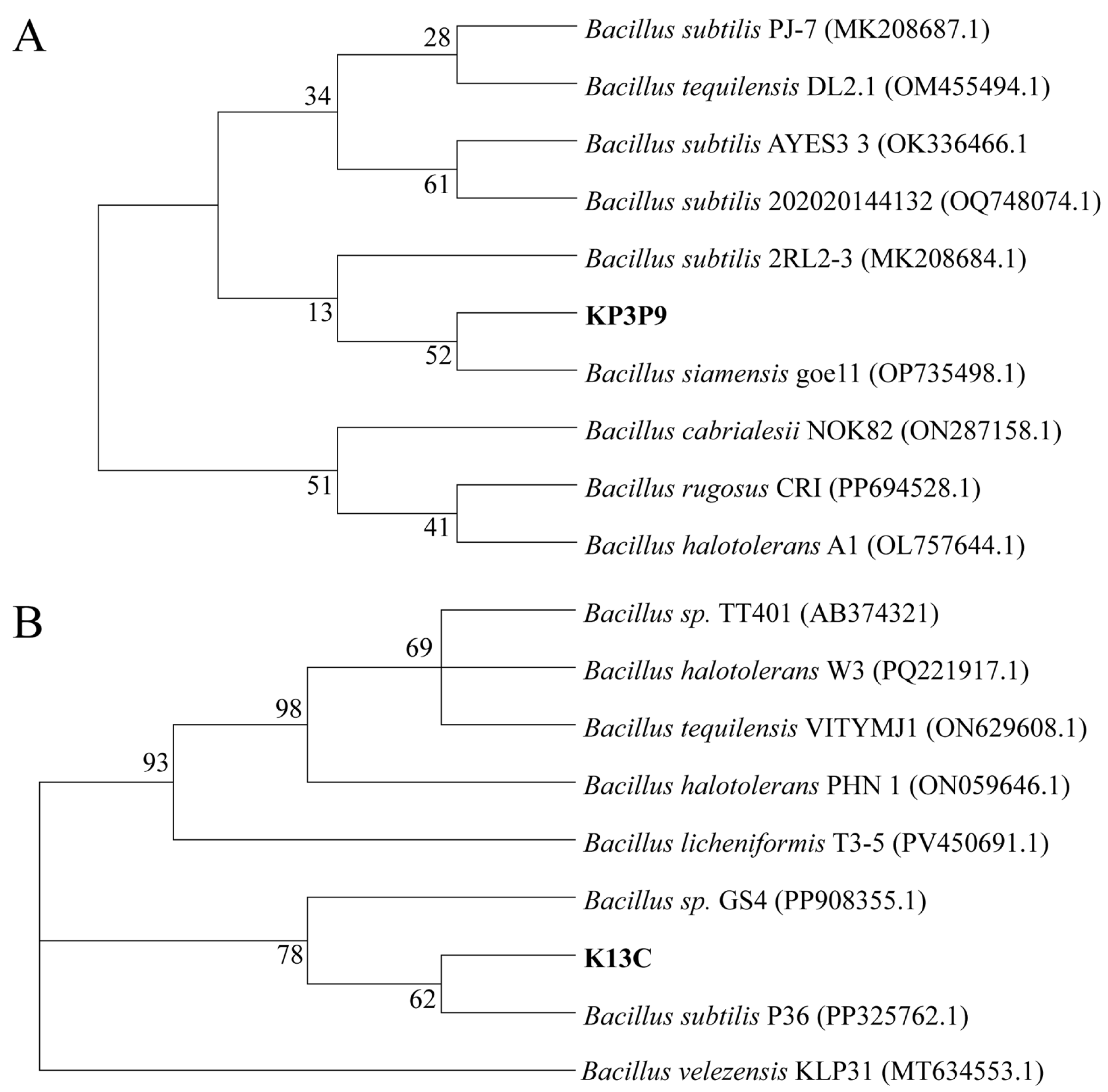 Microorganisms 13 02255 g005 Microorganisms 13 02255 g005