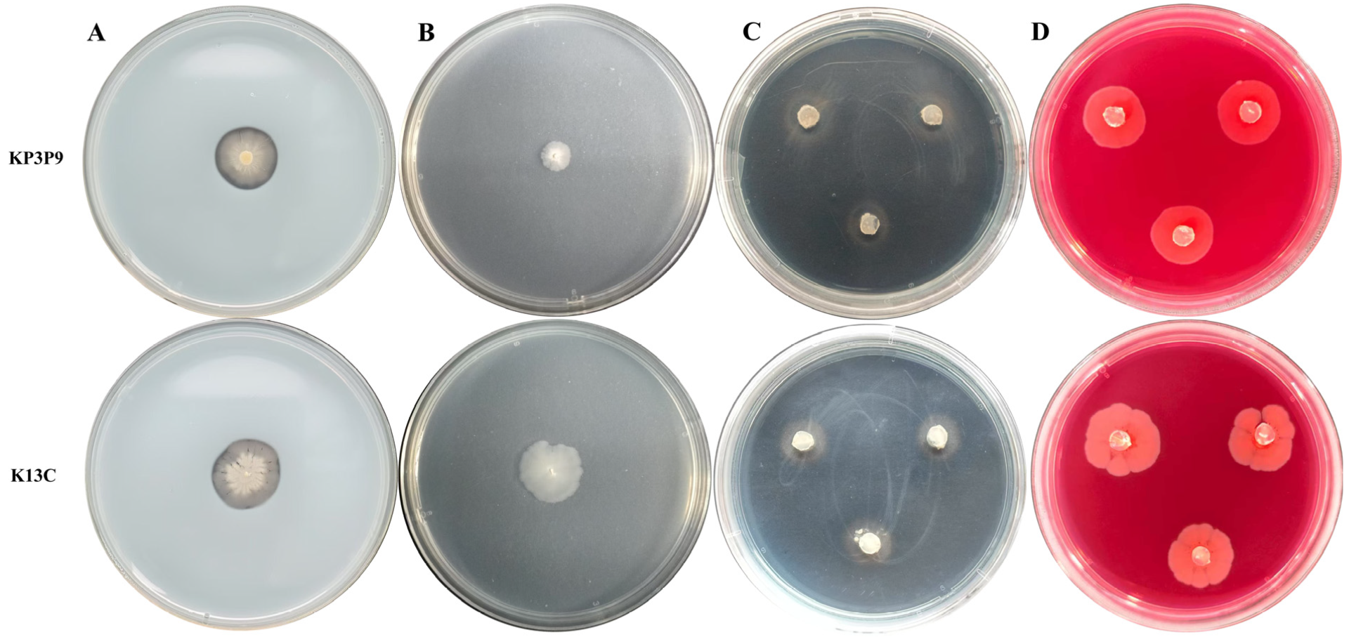 Microorganisms 13 02255 g006 Microorganisms 13 02255 g006