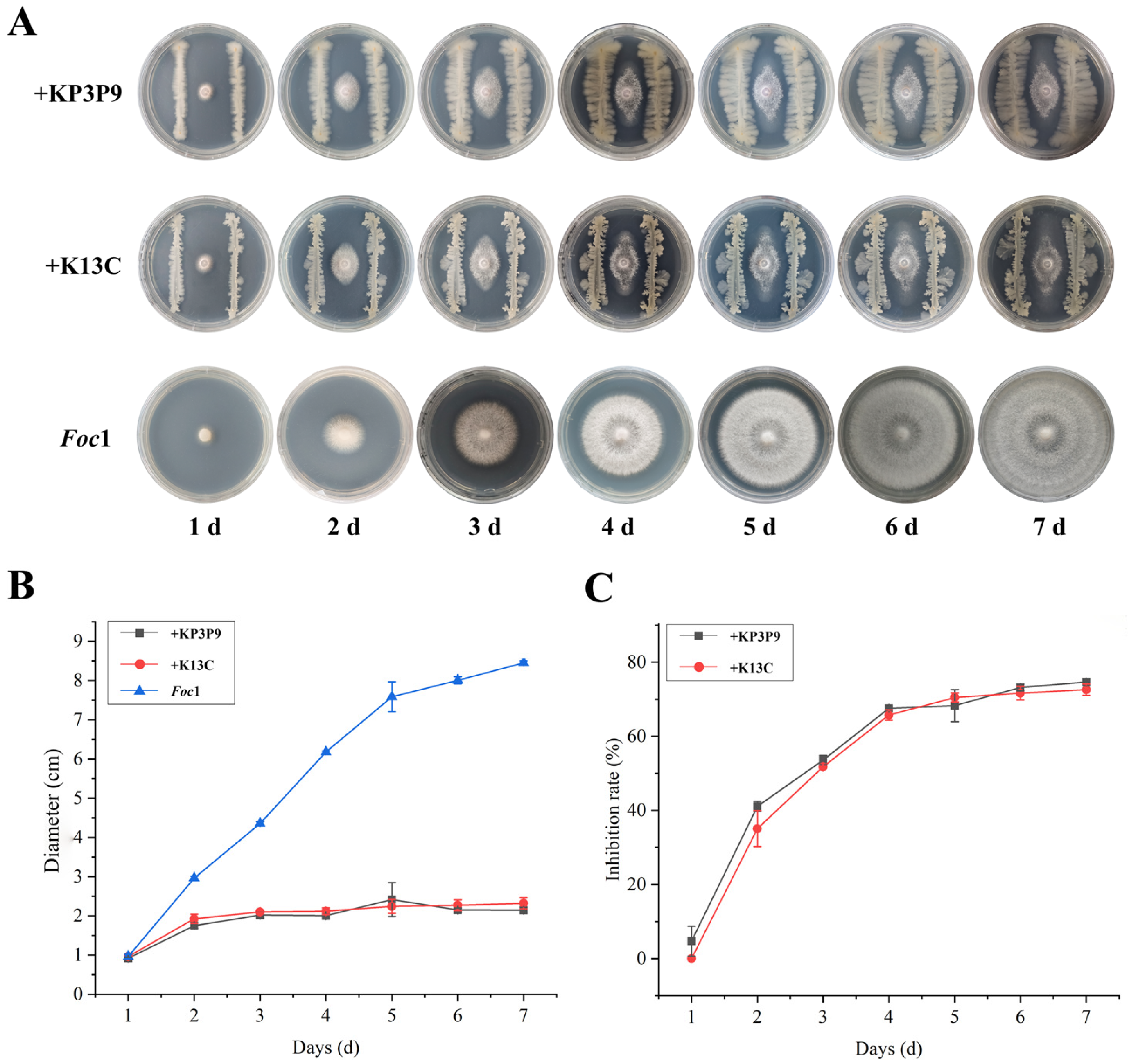 Microorganisms 13 02255 g007 Microorganisms 13 02255 g007