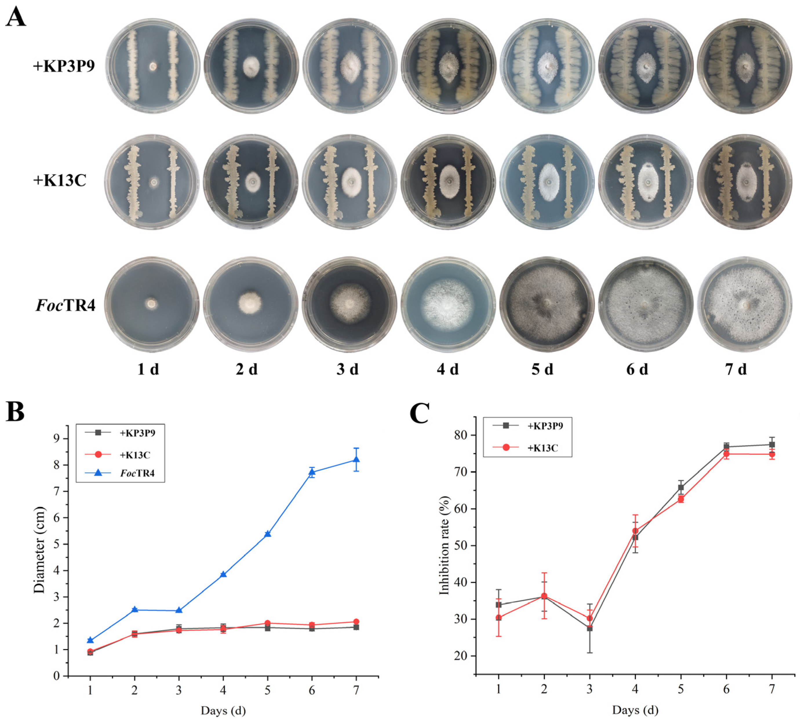 Microorganisms 13 02255 g008 Microorganisms 13 02255 g008