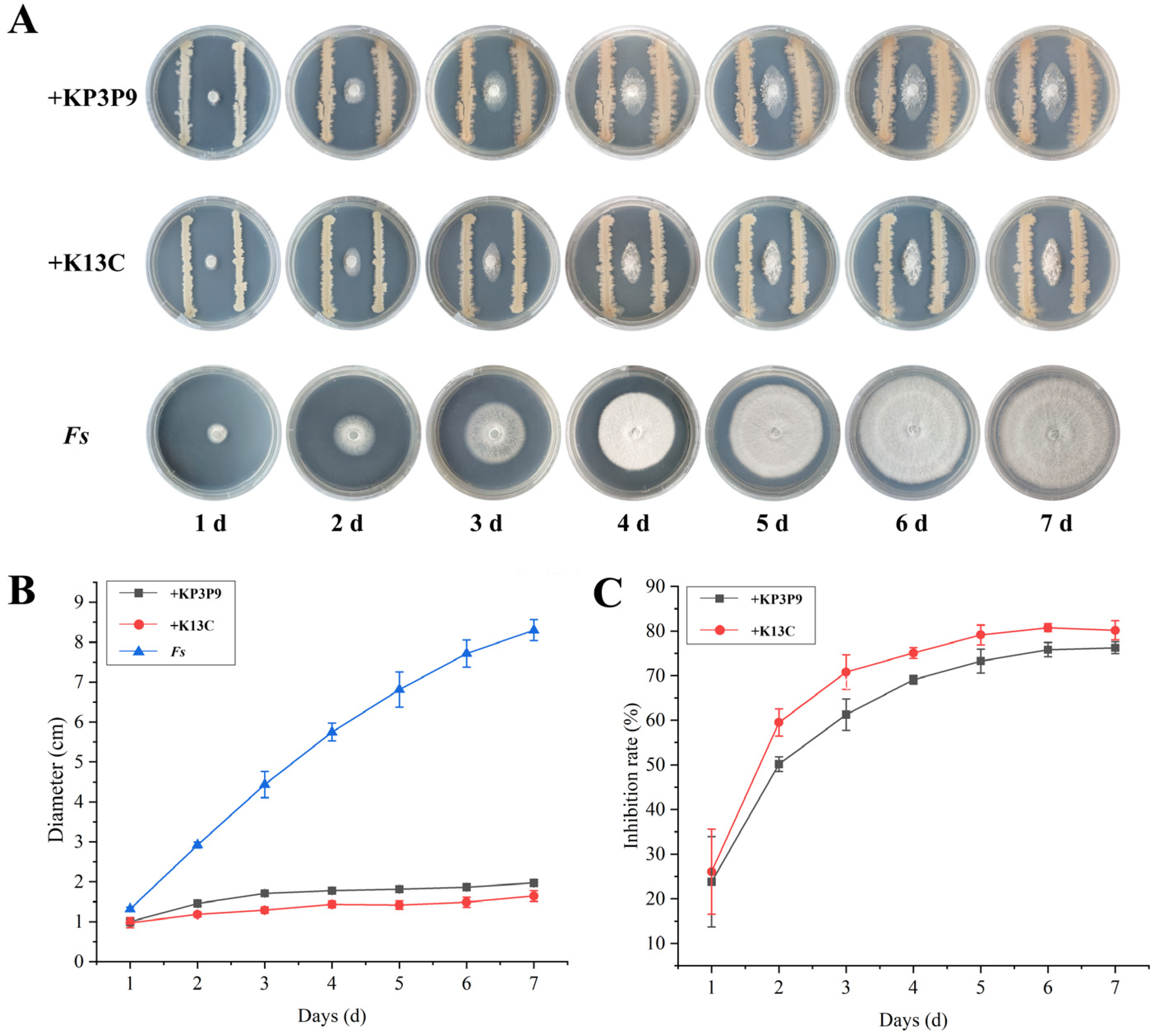 Microorganisms 13 02255 g009 Microorganisms 13 02255 g009