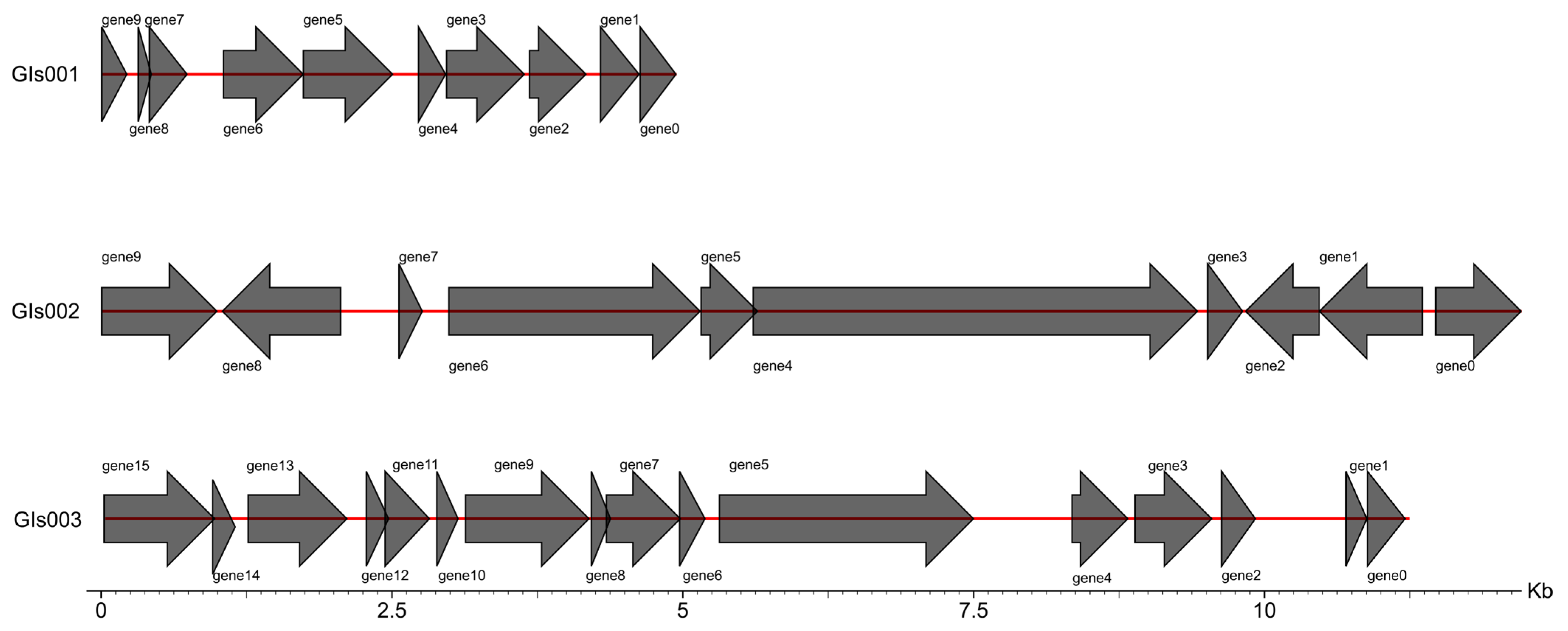 Microorganisms 13 02258 g007