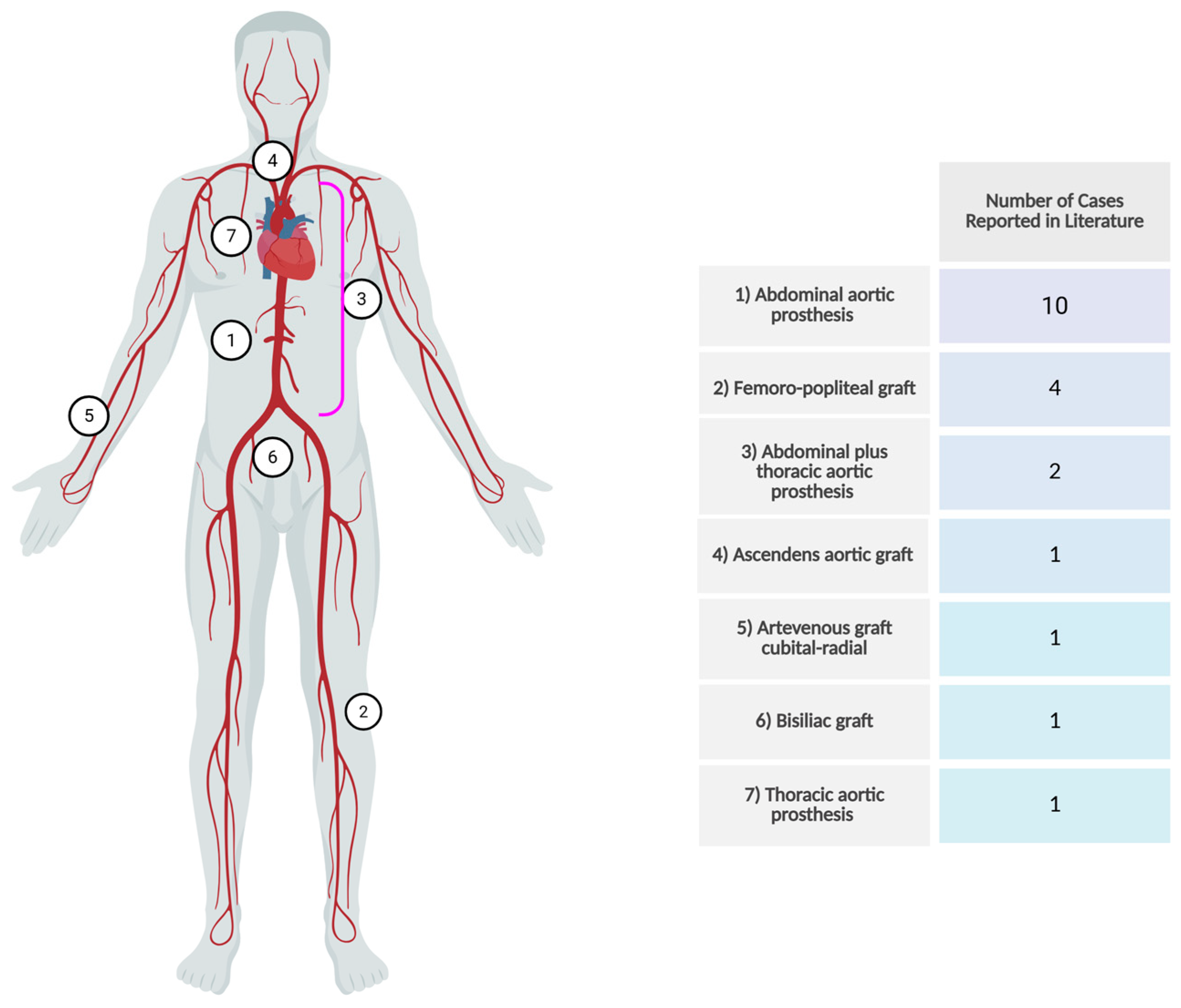 Microorganisms 13 02262 g002