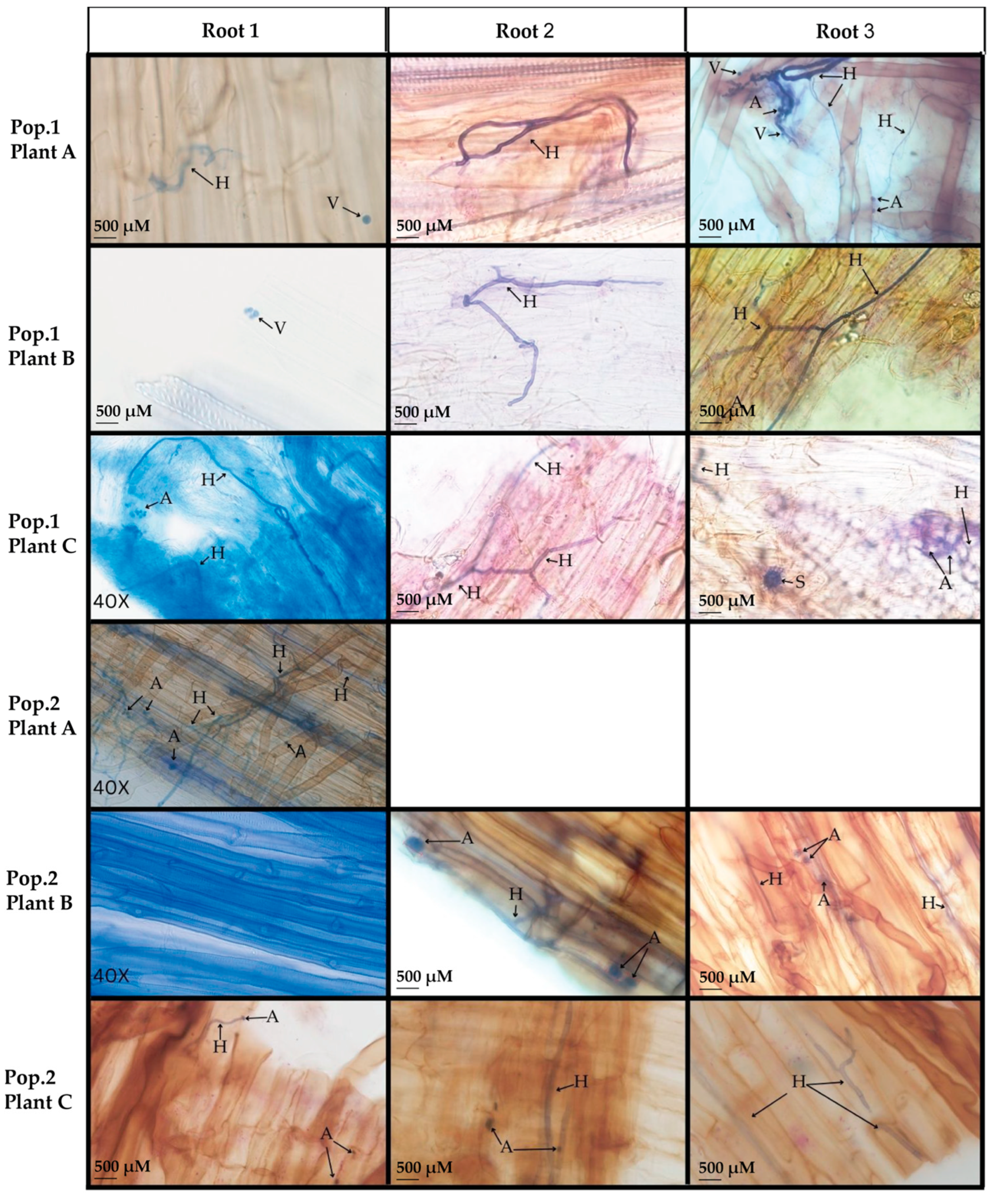 Microorganisms 13 02269 g001