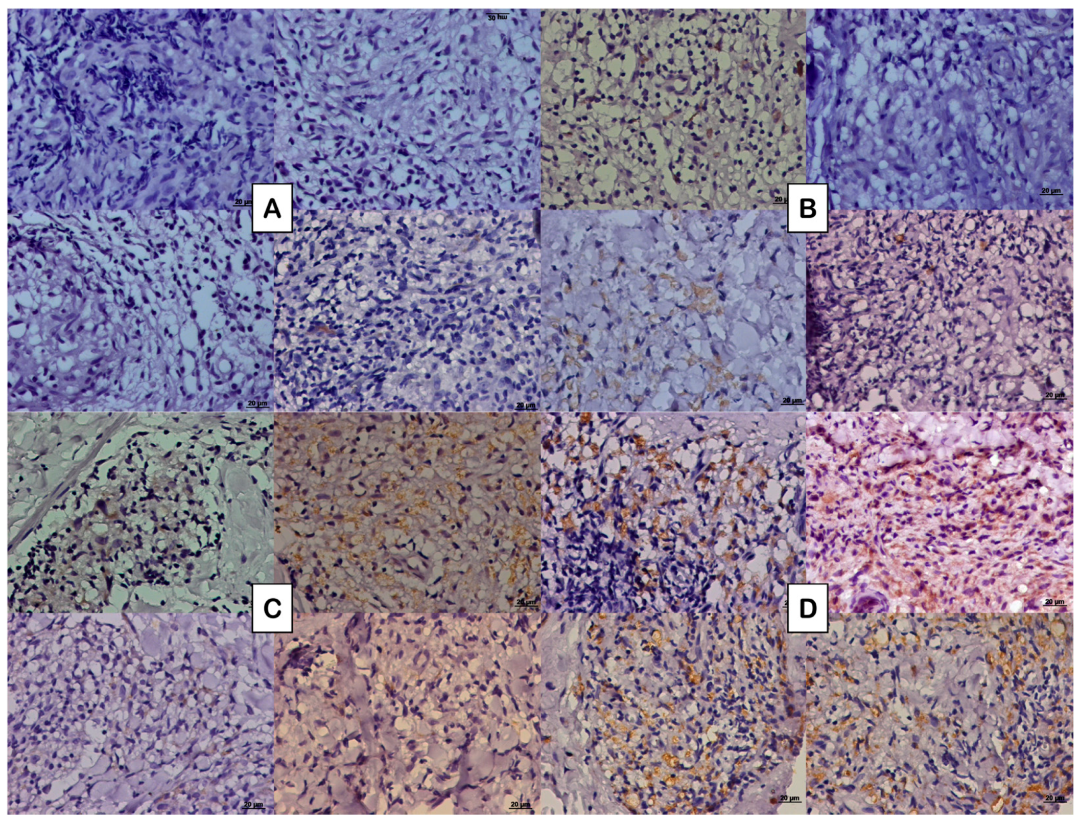 Microorganisms 13 02271 g001 Microorganisms 13 02271 g001