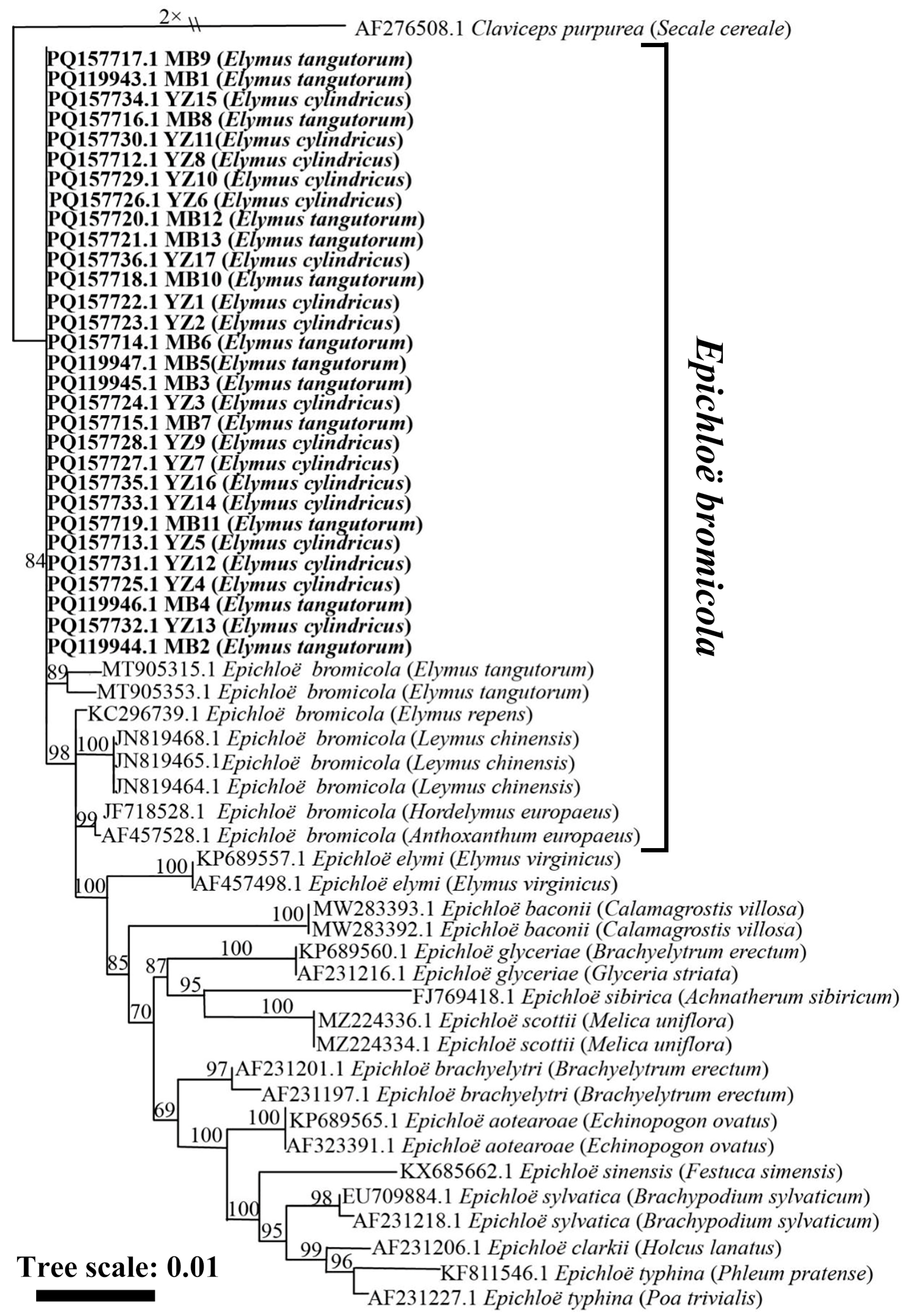 Microorganisms 13 02275 g003 Microorganisms 13 02275 g003