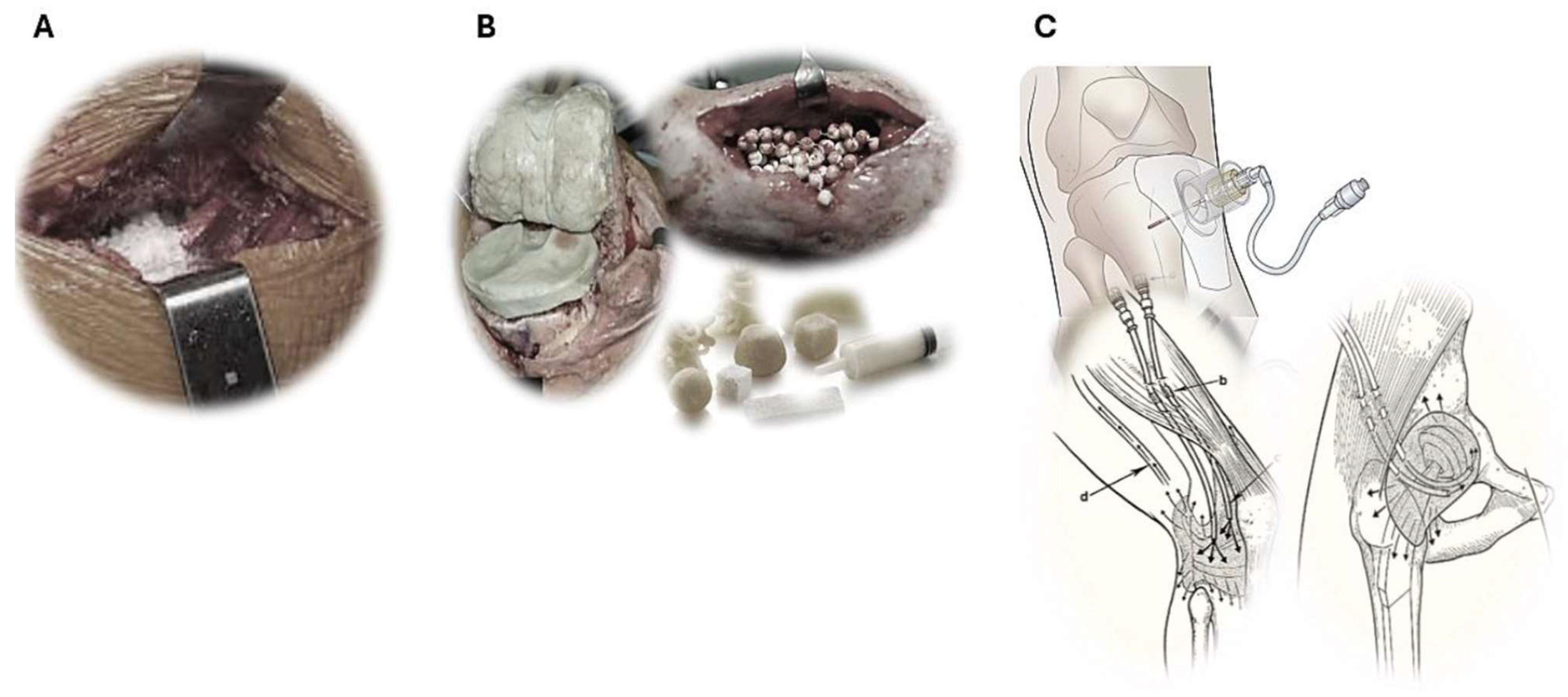 Microorganisms 13 02276 g001 Microorganisms 13 02276 g001